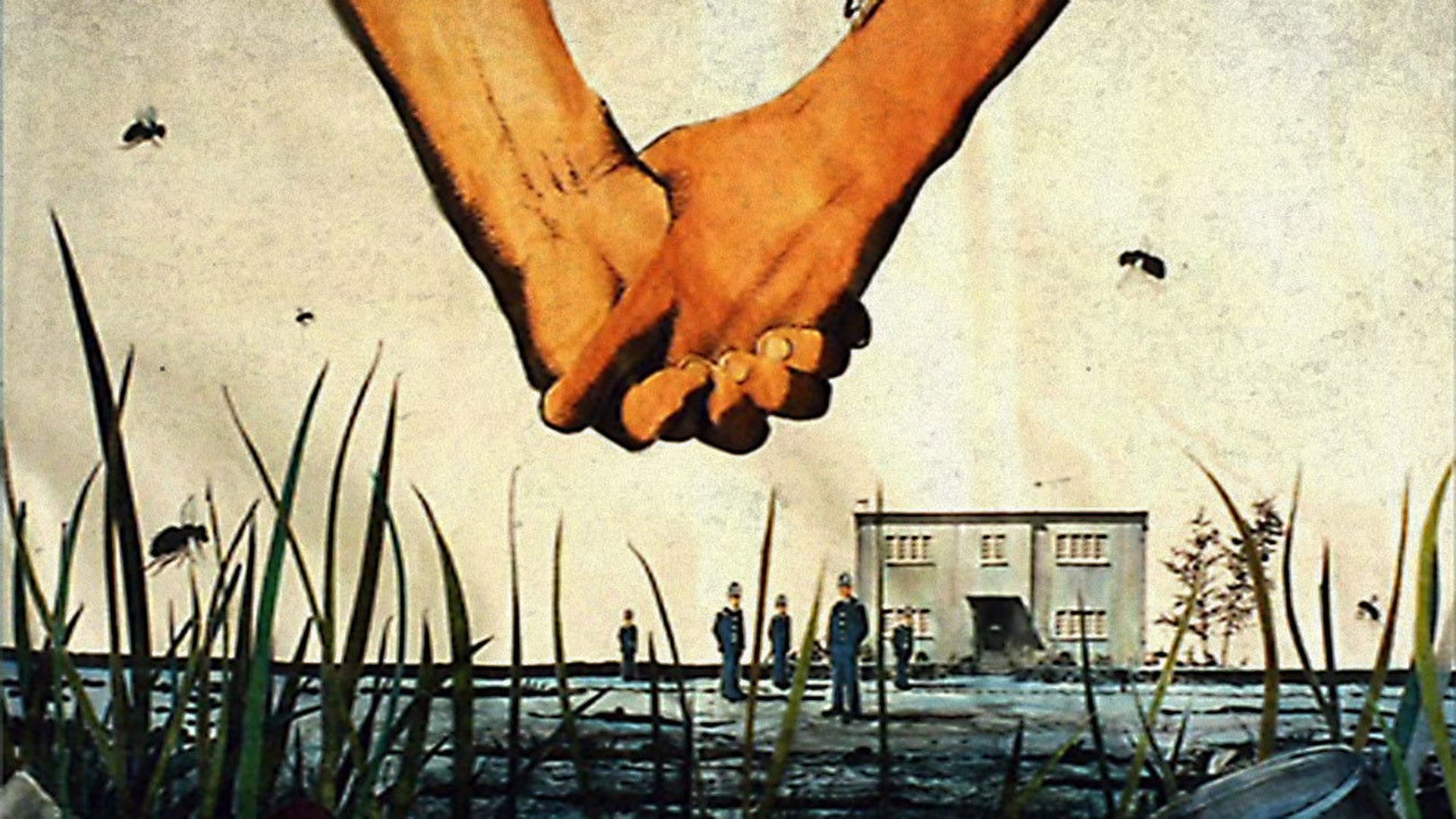 Foto do filme The Cement Garden