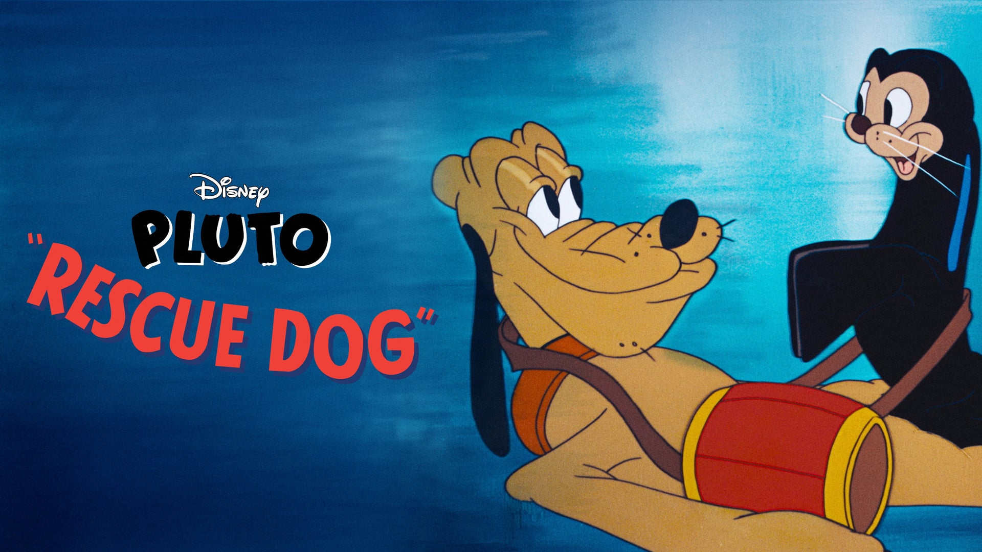 Foto do filme Cão de Resgate