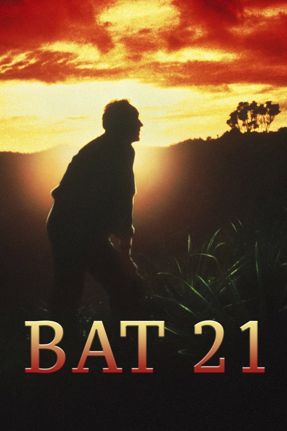 Bat 21: Missão no Inferno