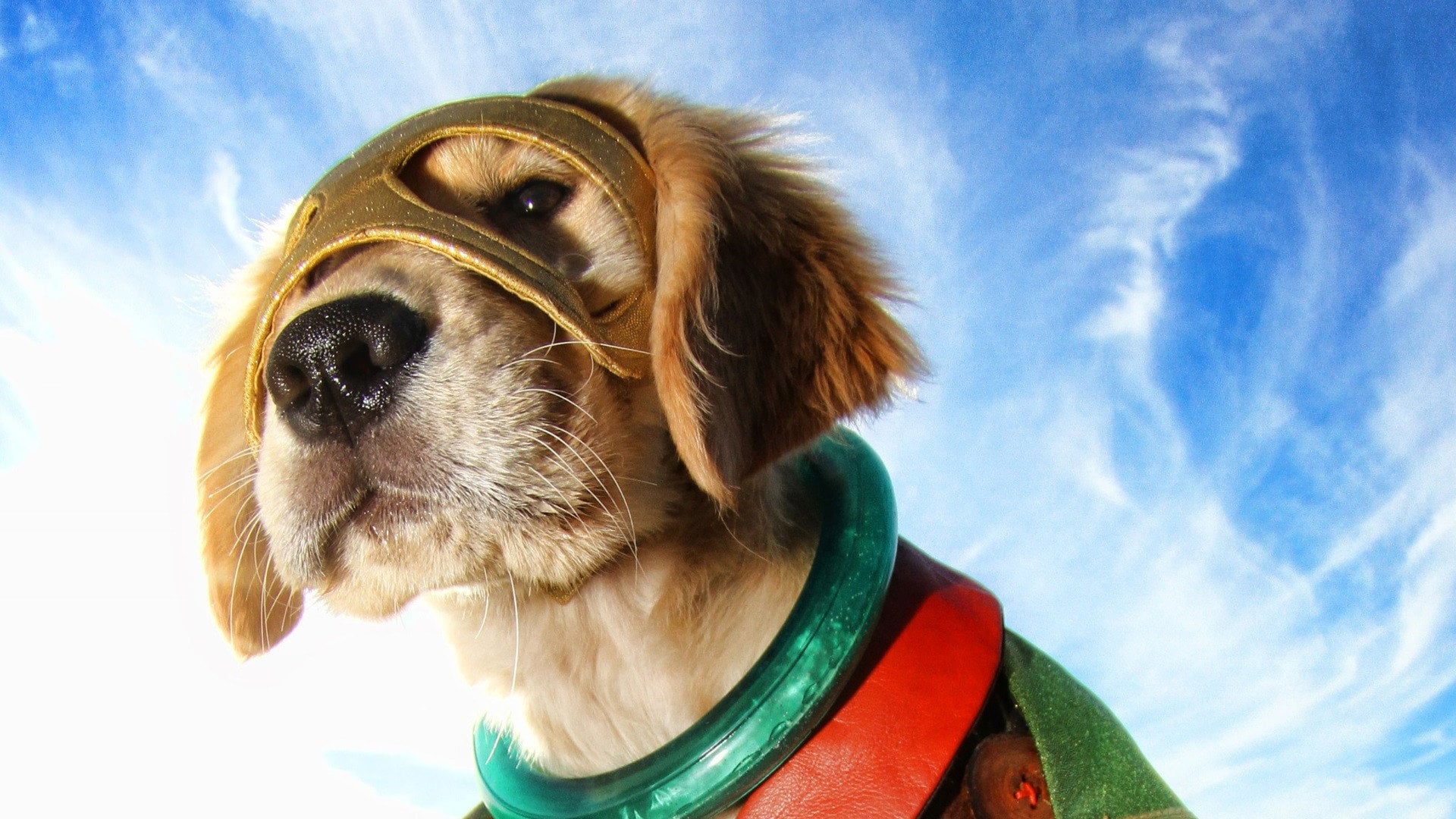 Foto do filme Super Buddies