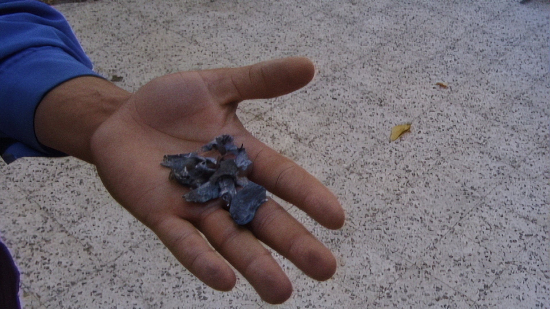 Foto do filme Mit Hasan in Gaza