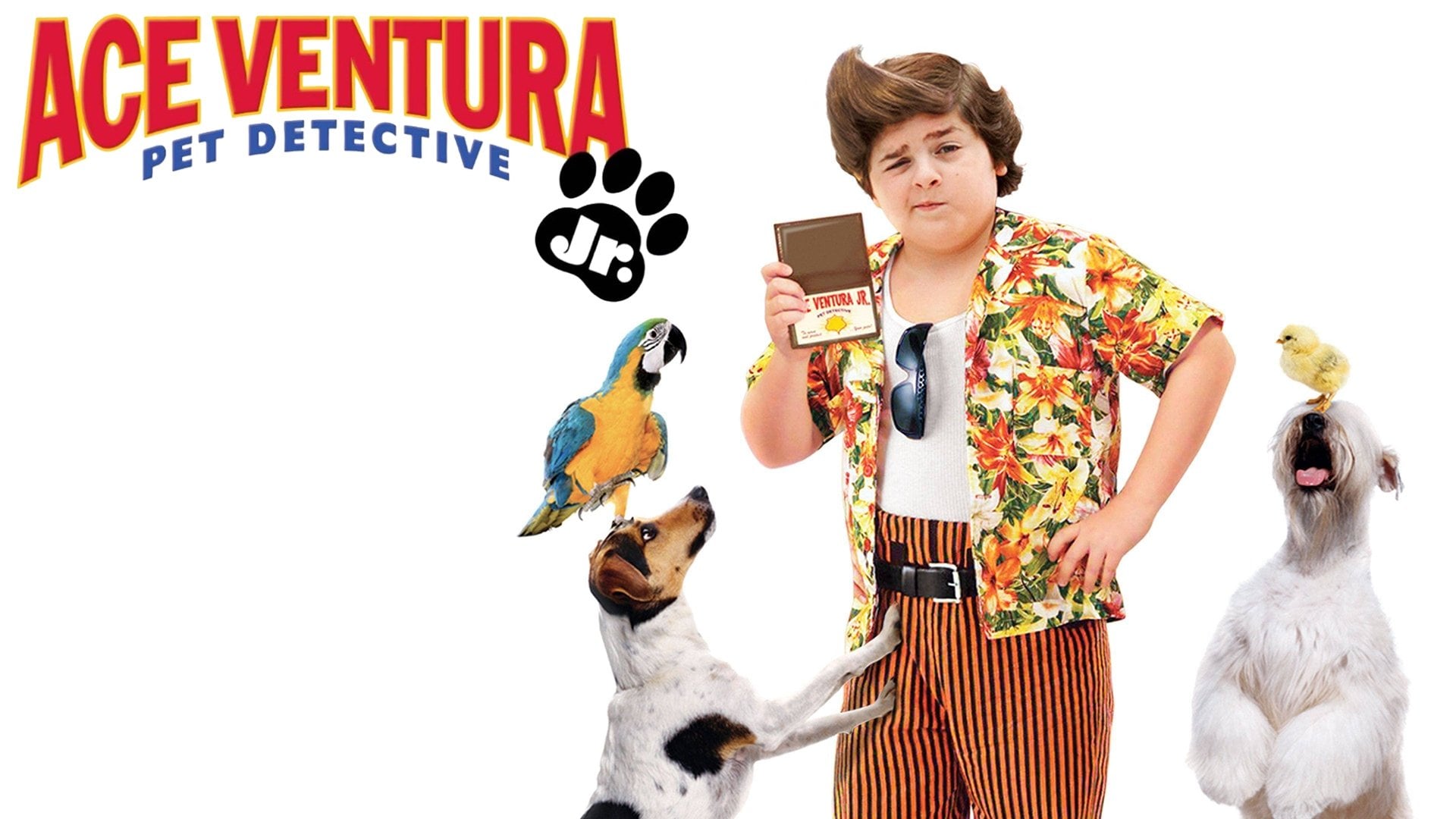 Foto do filme O Filho do Ace Ventura