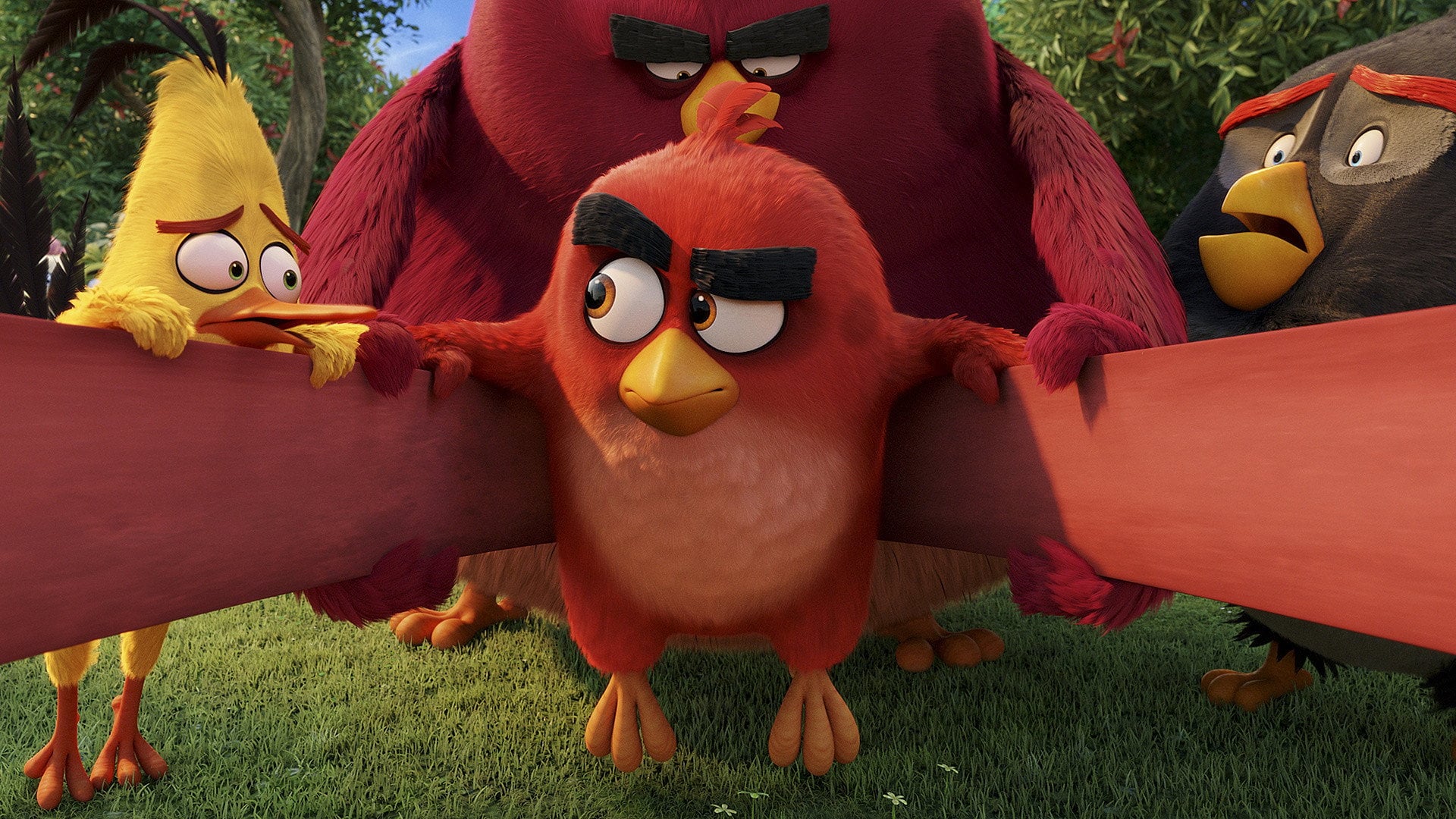 Foto do filme Angry Birds: O Filme
