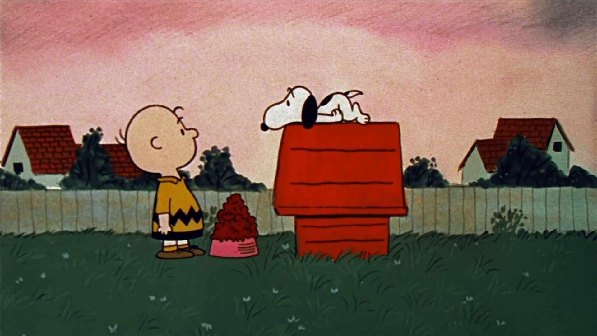 Foto do filme Um Garoto Chamado Charlie Brown