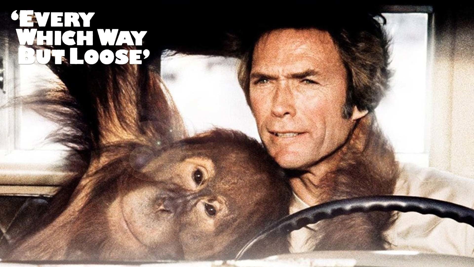 Foto do filme Doido para Brigar... Louco para Amar