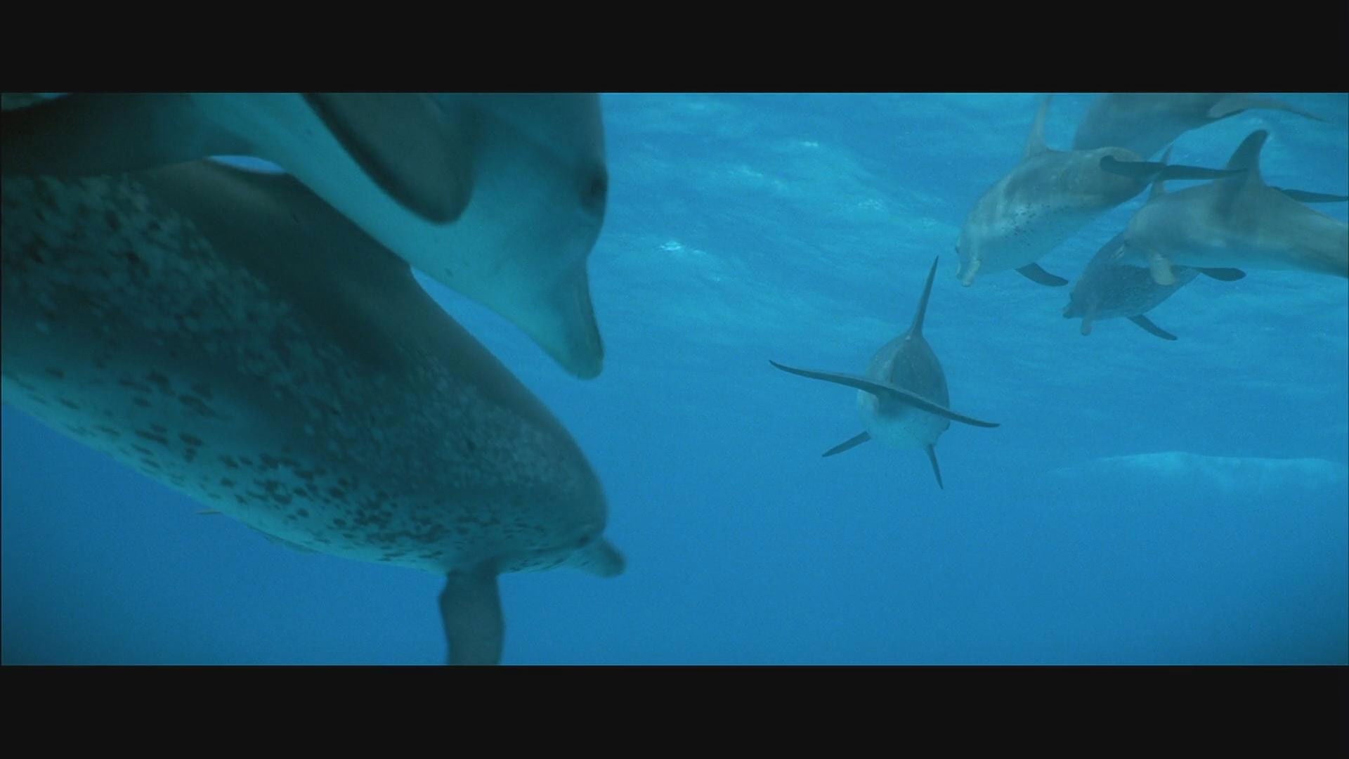 Foto do filme Atlantis