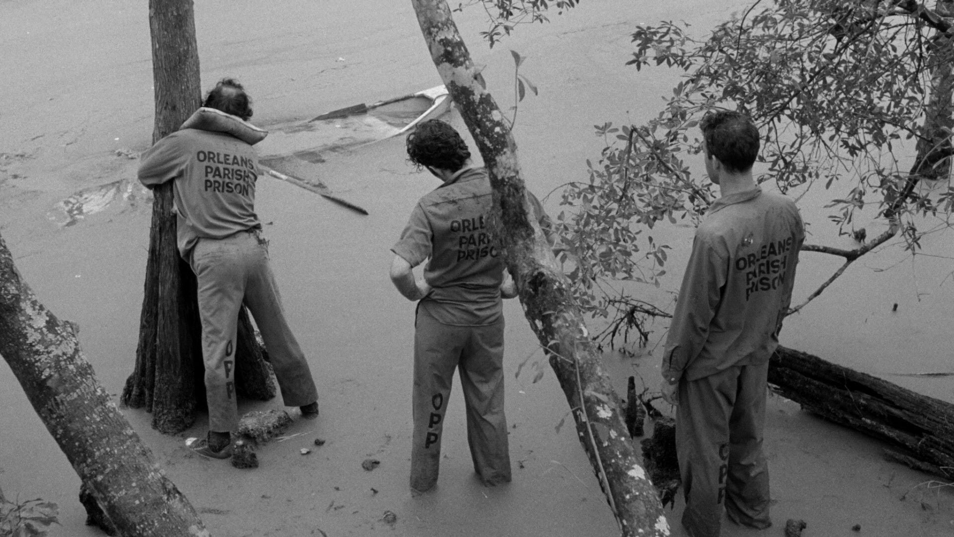Foto do filme Daunbailó