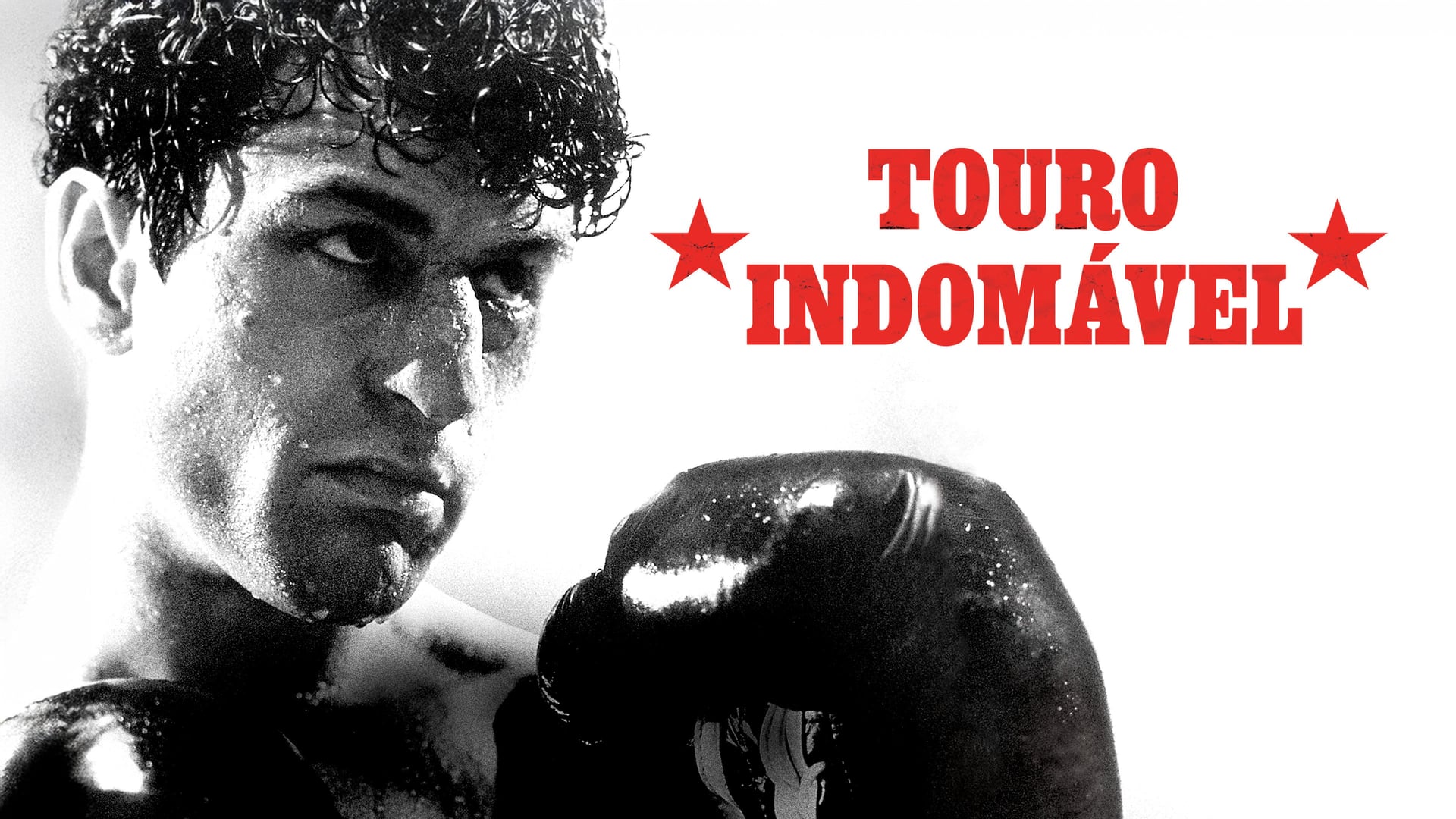 Foto do filme Touro Indomável