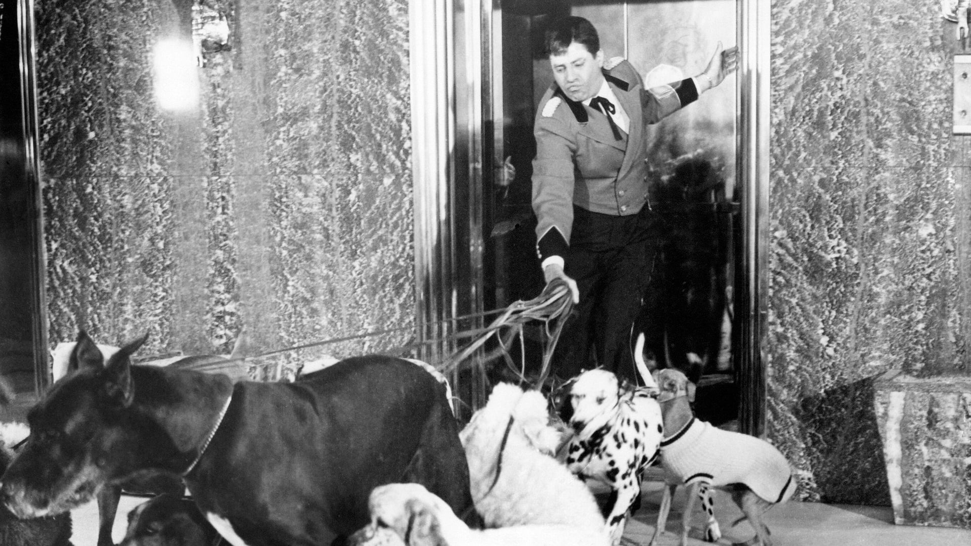 Foto do filme O Mensageiro Trapalhão