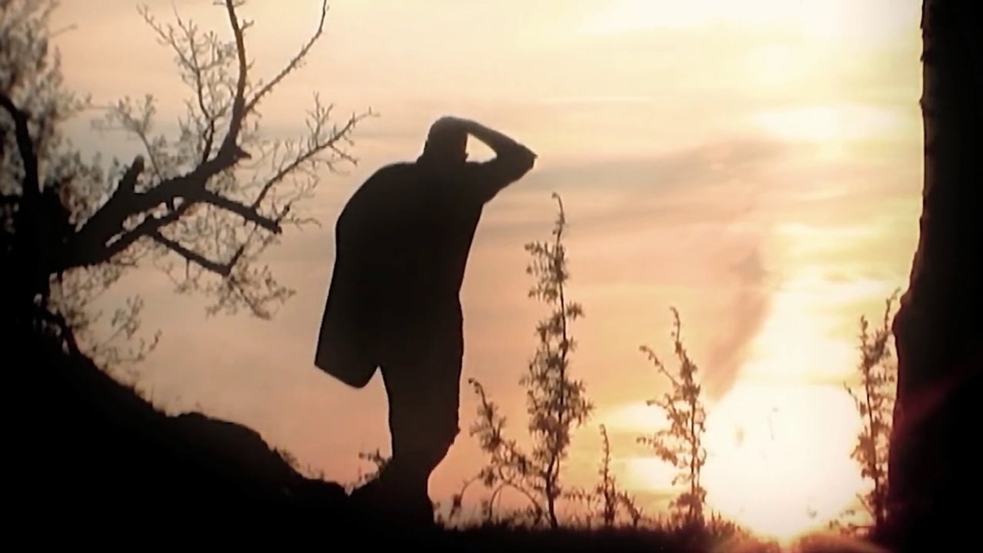 Foto do filme Melancholie der Engel