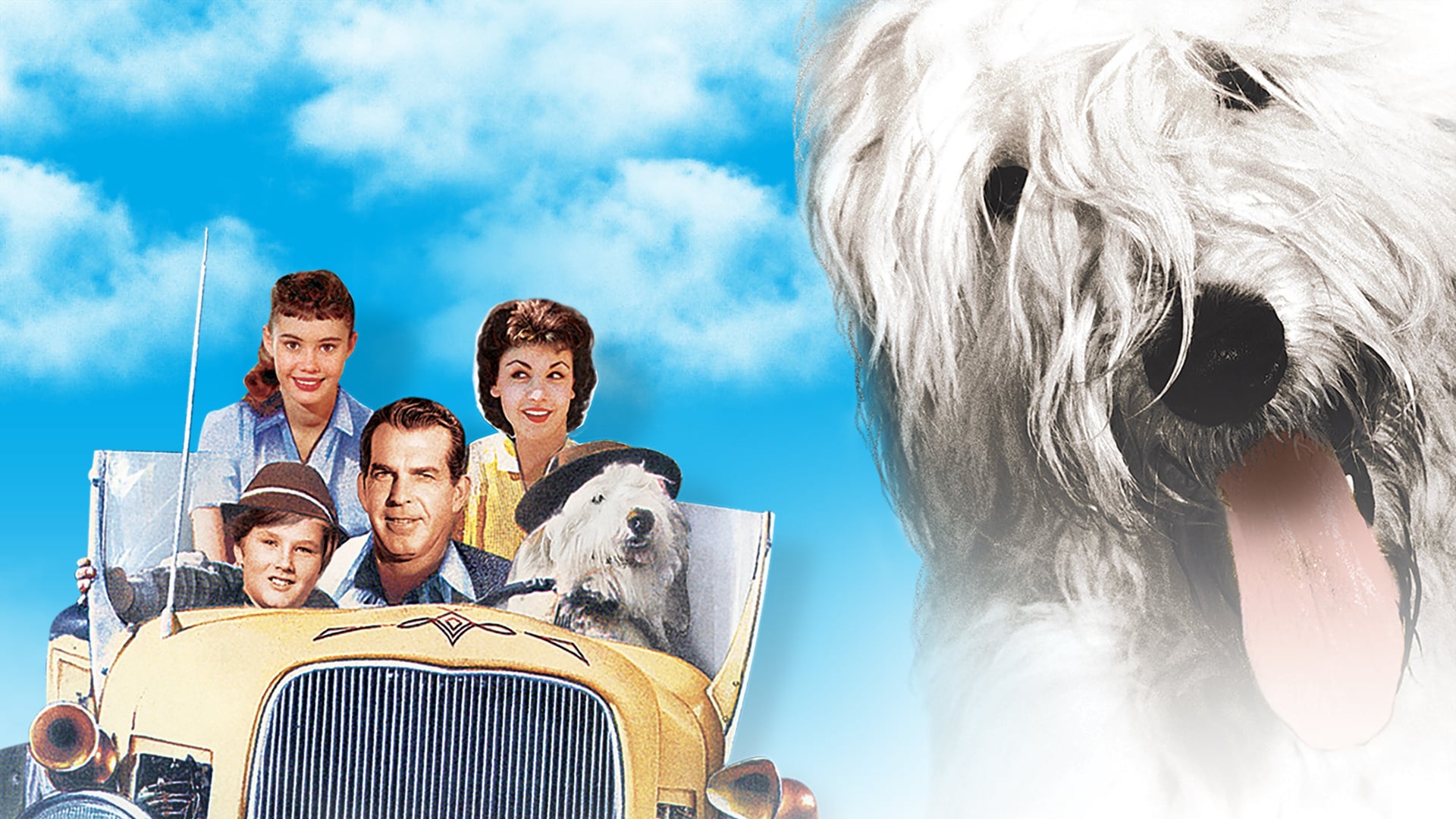 Foto do filme Felpudo, O Cão Feiticeiro
