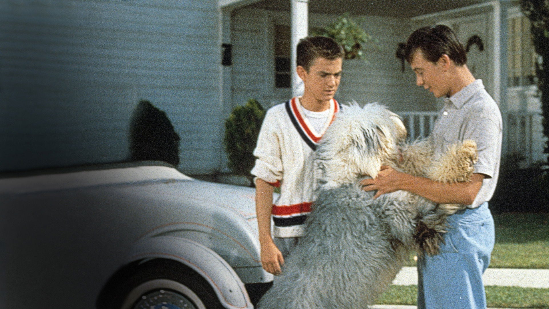 Foto do filme Felpudo, O Cão Feiticeiro