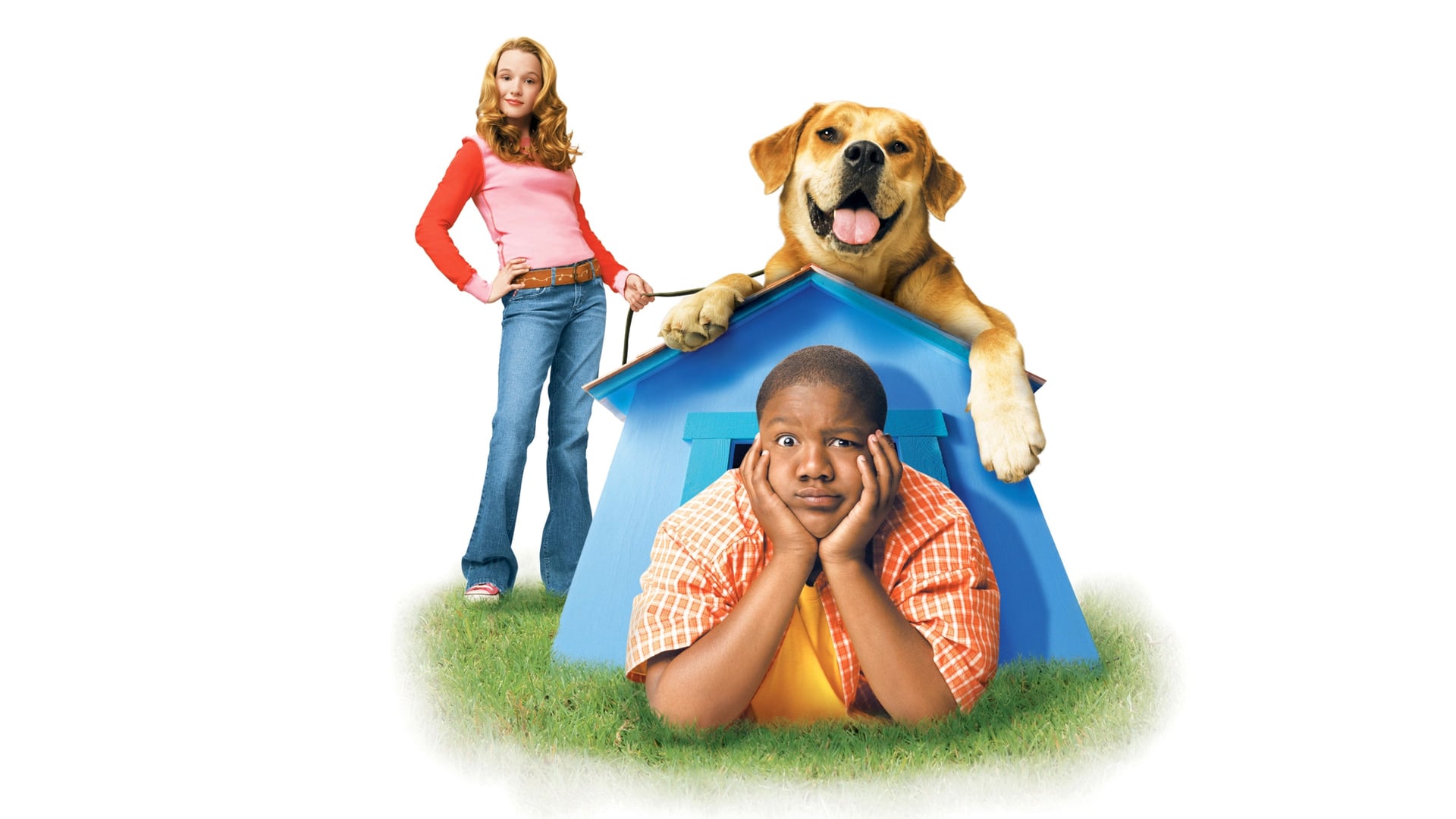 Foto do filme Cãofusões