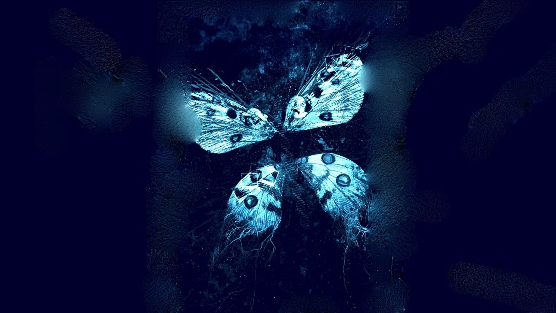 Foto do filme Efeito Borboleta - Revelação