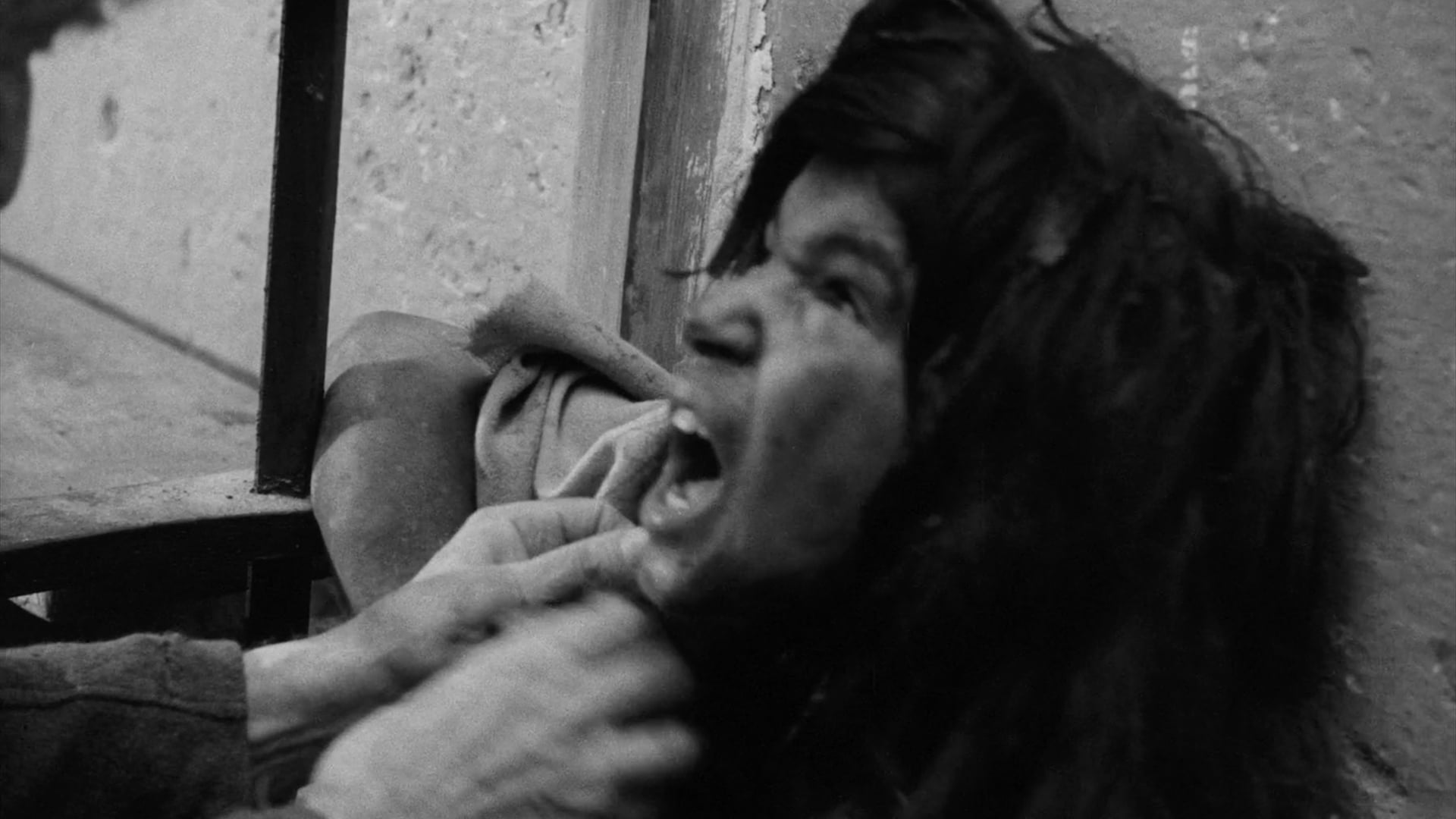 Foto do filme O Garoto Selvagem