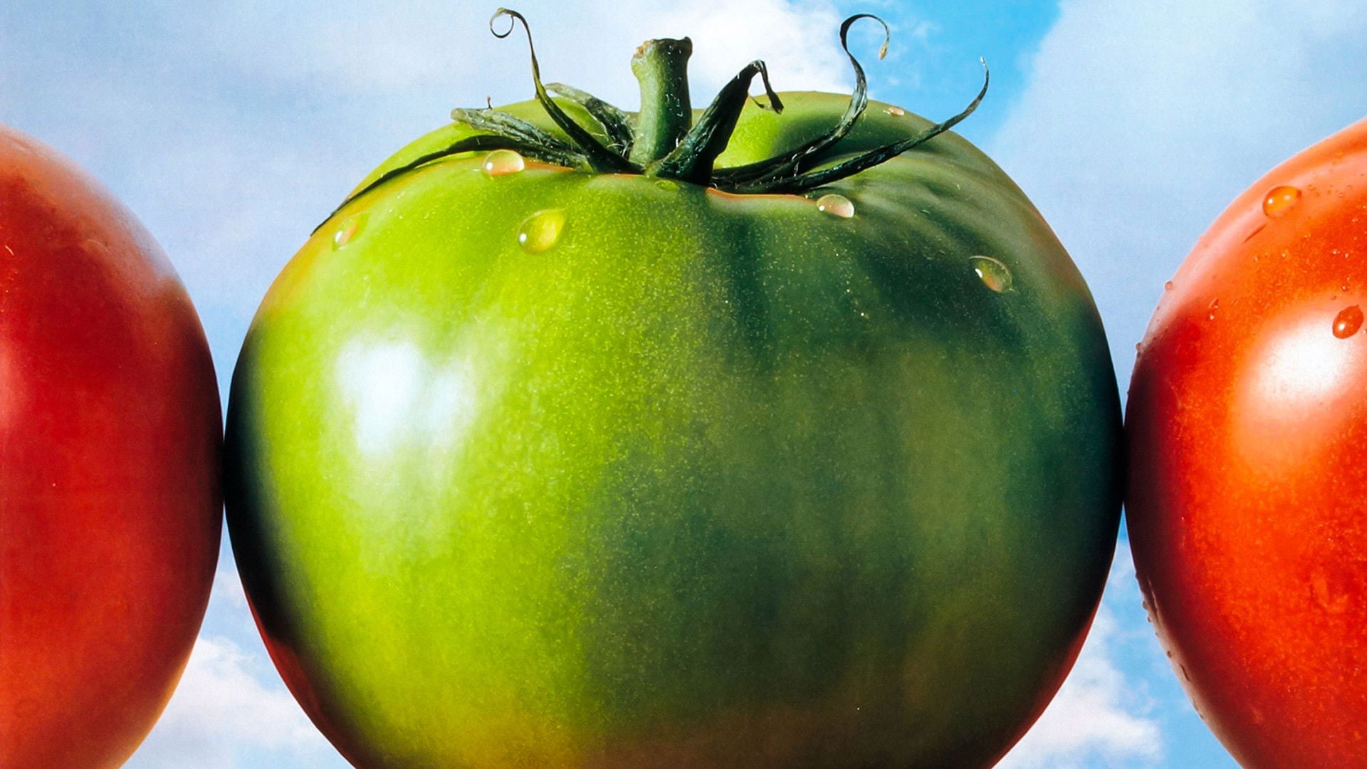 Foto do filme Tomates Verdes Fritos