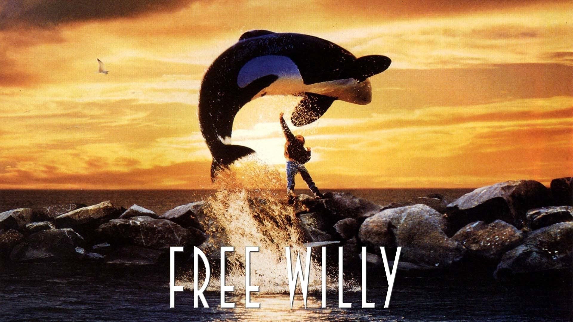 Foto do filme Free Willy
