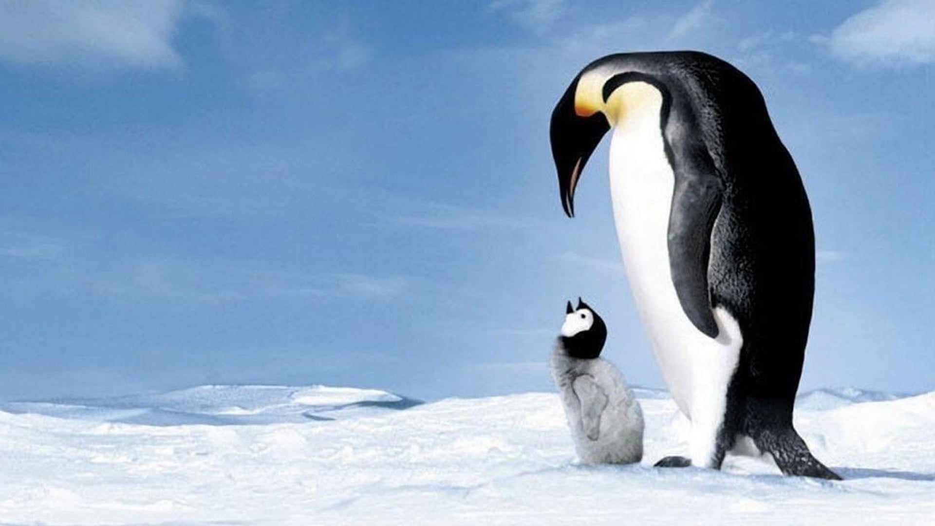 Foto do filme A Marcha dos Pinguins