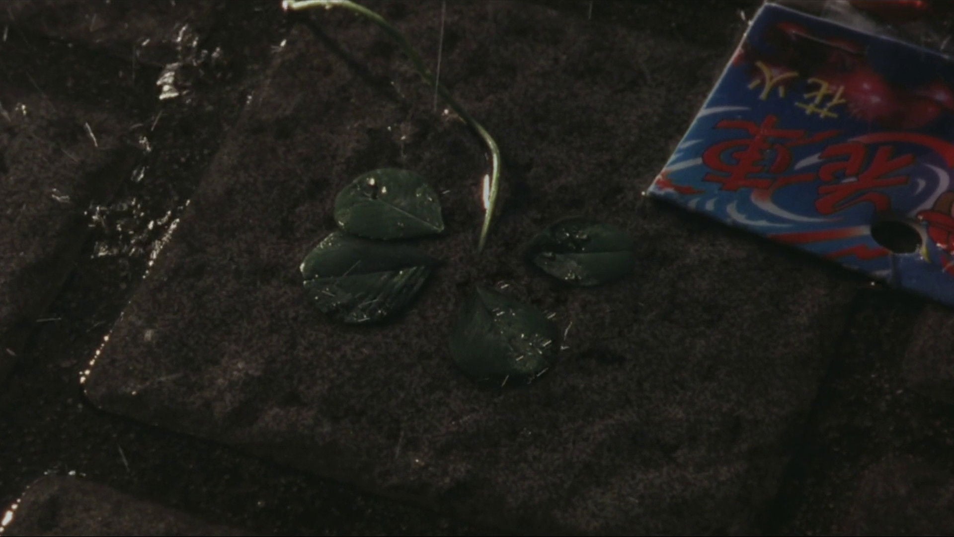 Foto do filme 9 Souls
