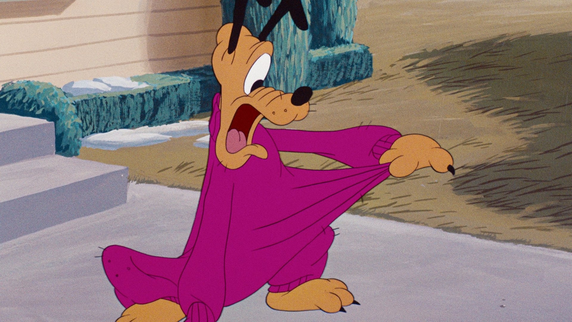 Foto do filme O Suéter do Pluto