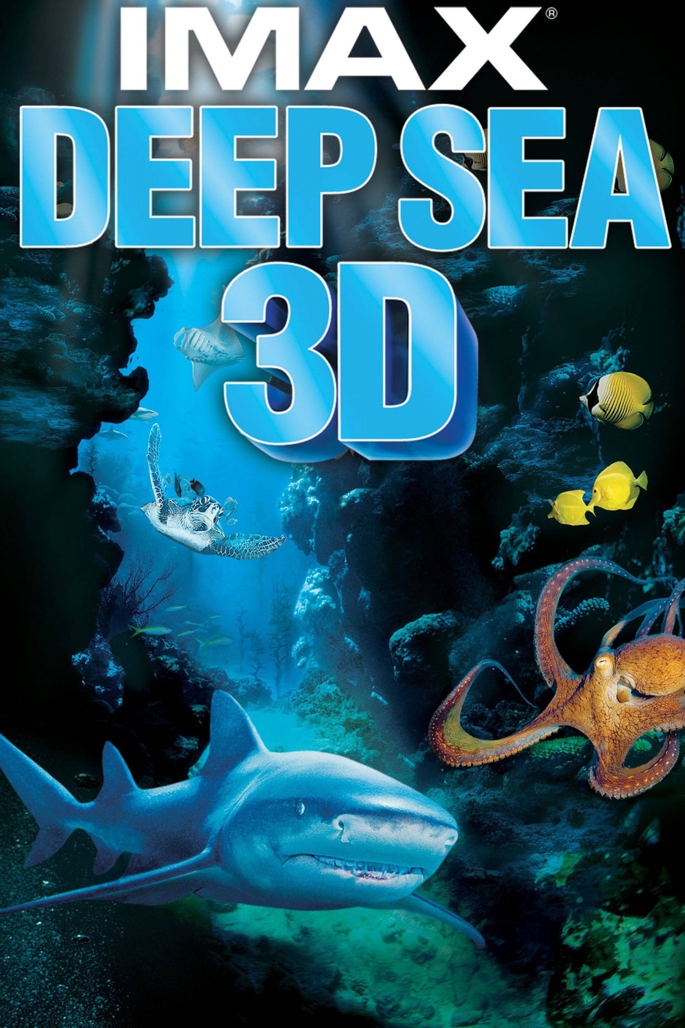 Fundo do Mar 3D