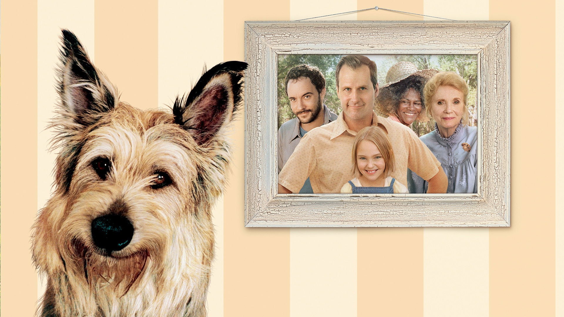 Foto do filme Meu Melhor Amigo