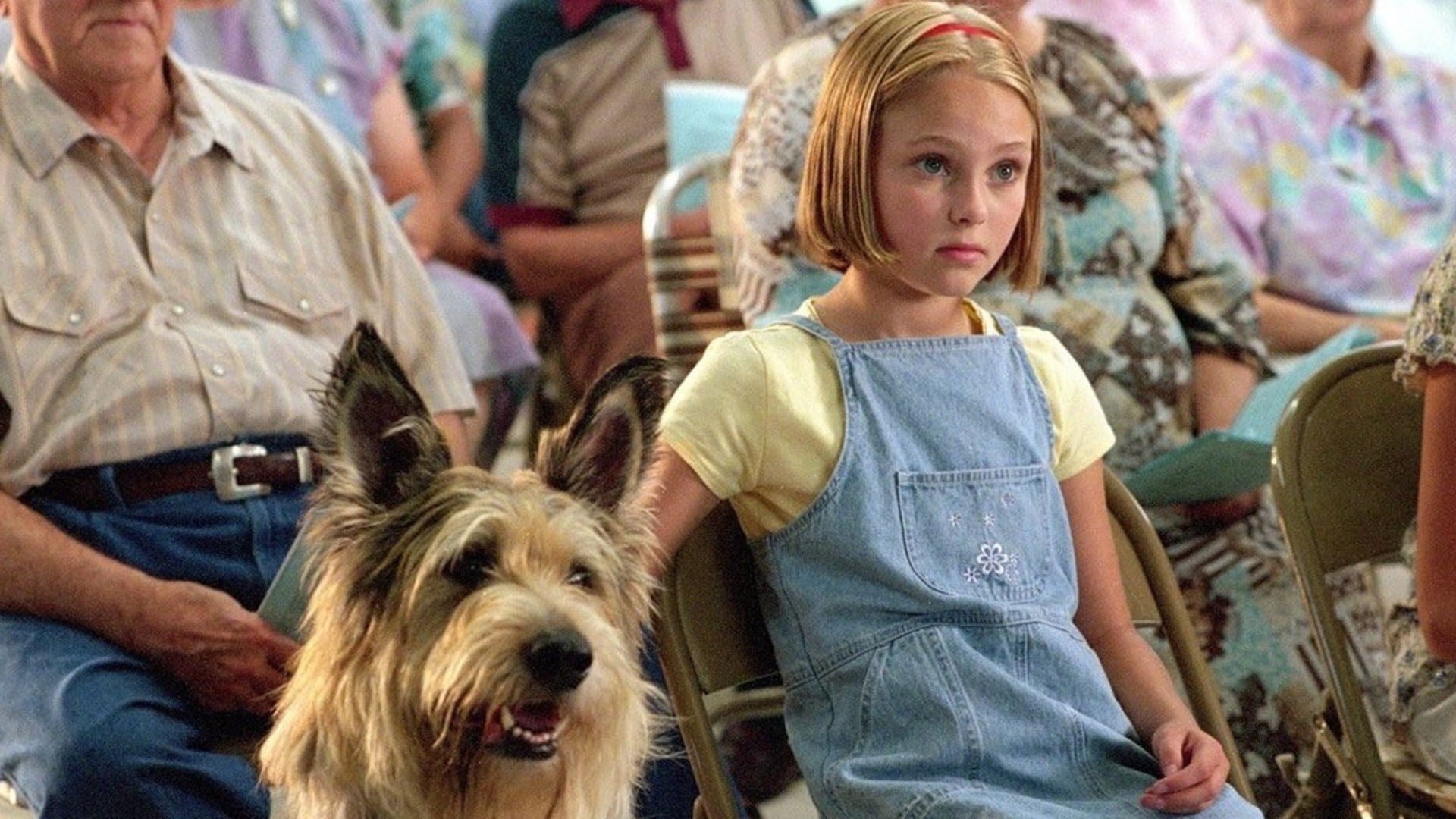 Foto do filme Meu Melhor Amigo