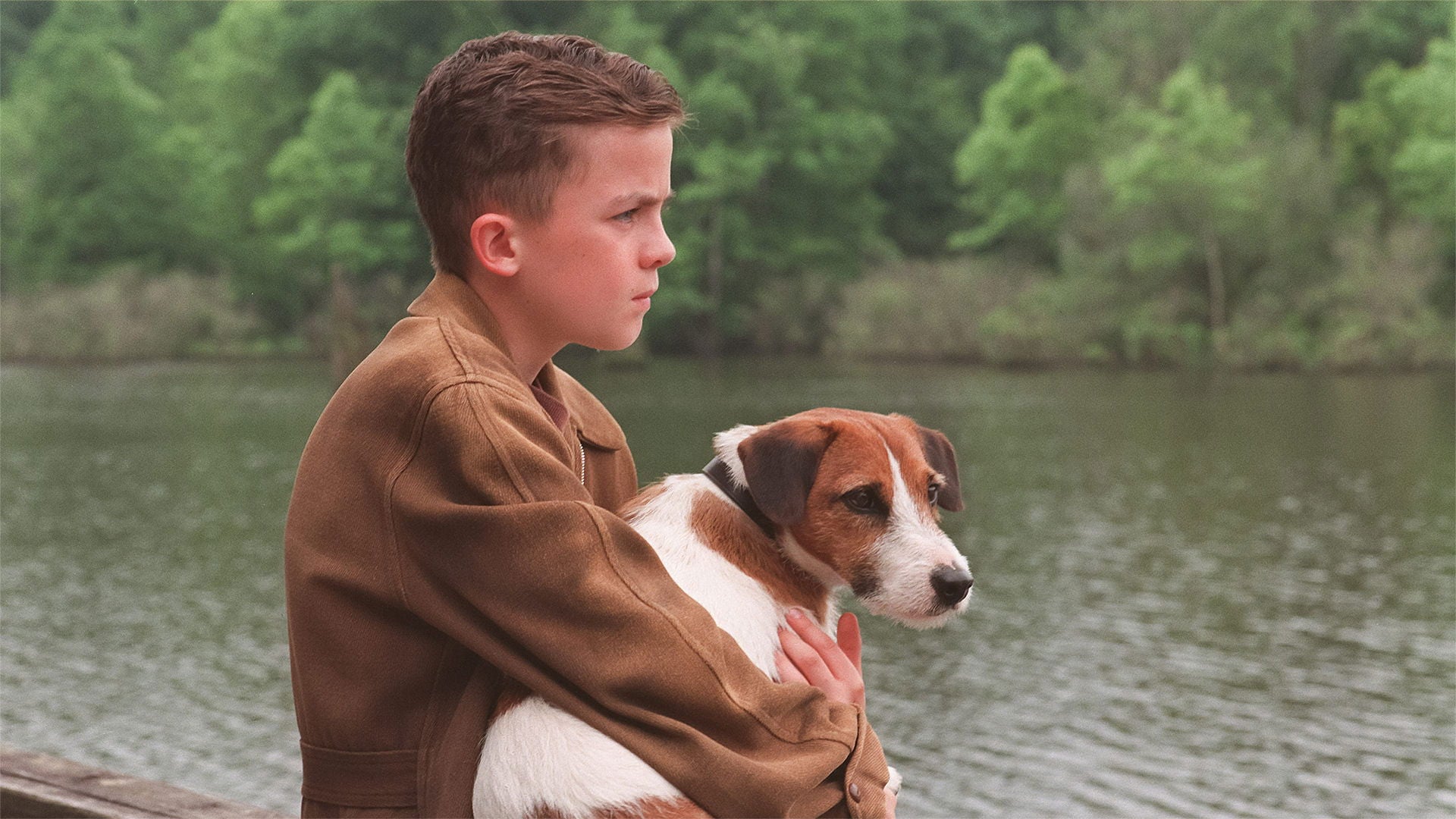 Foto do filme Meu Cachorro Skip