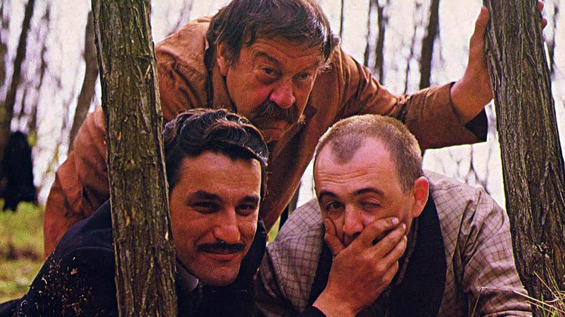 Foto do filme Quem Está Cantando Aí?