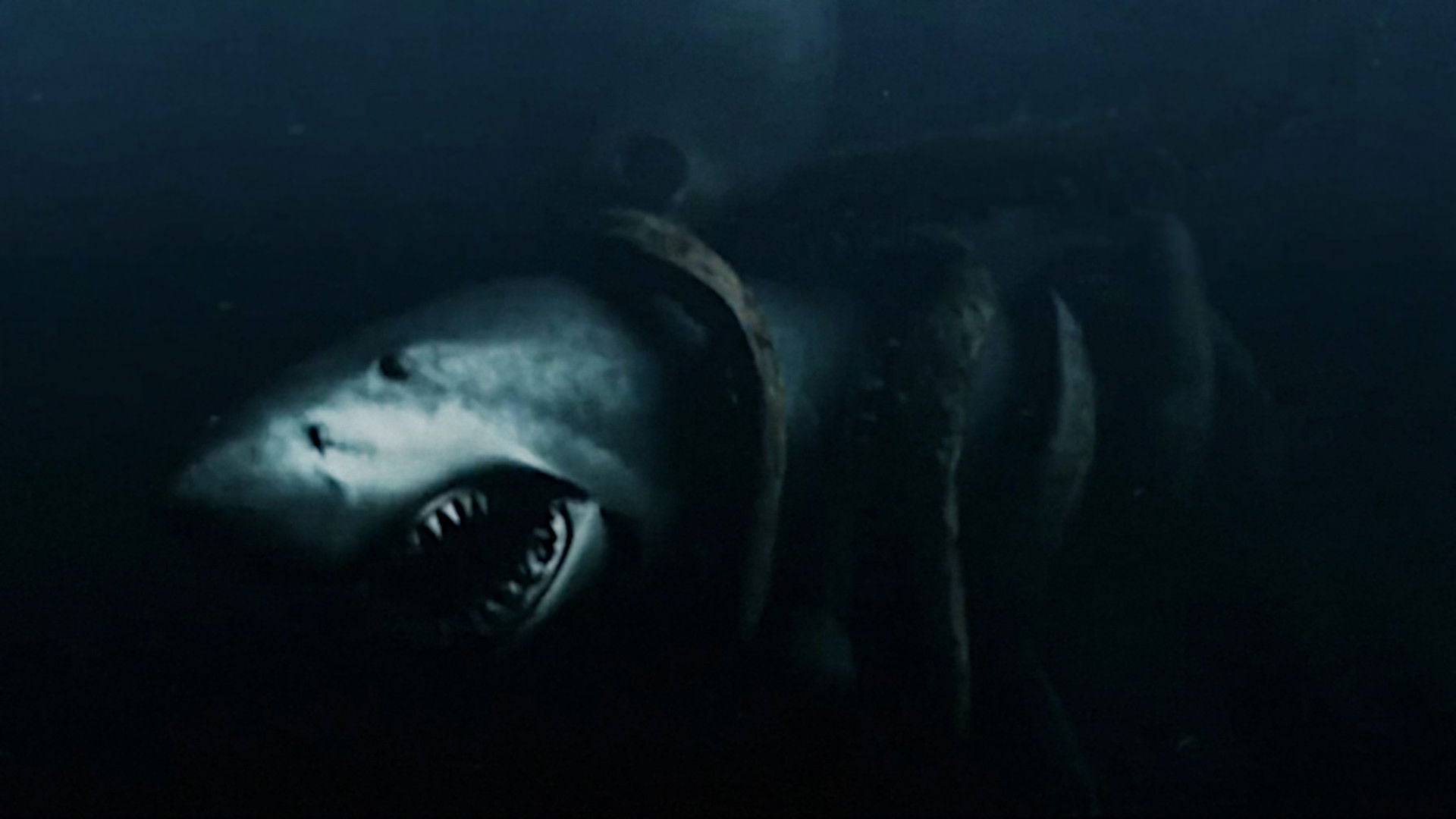 Foto do filme Monstros Marinhos