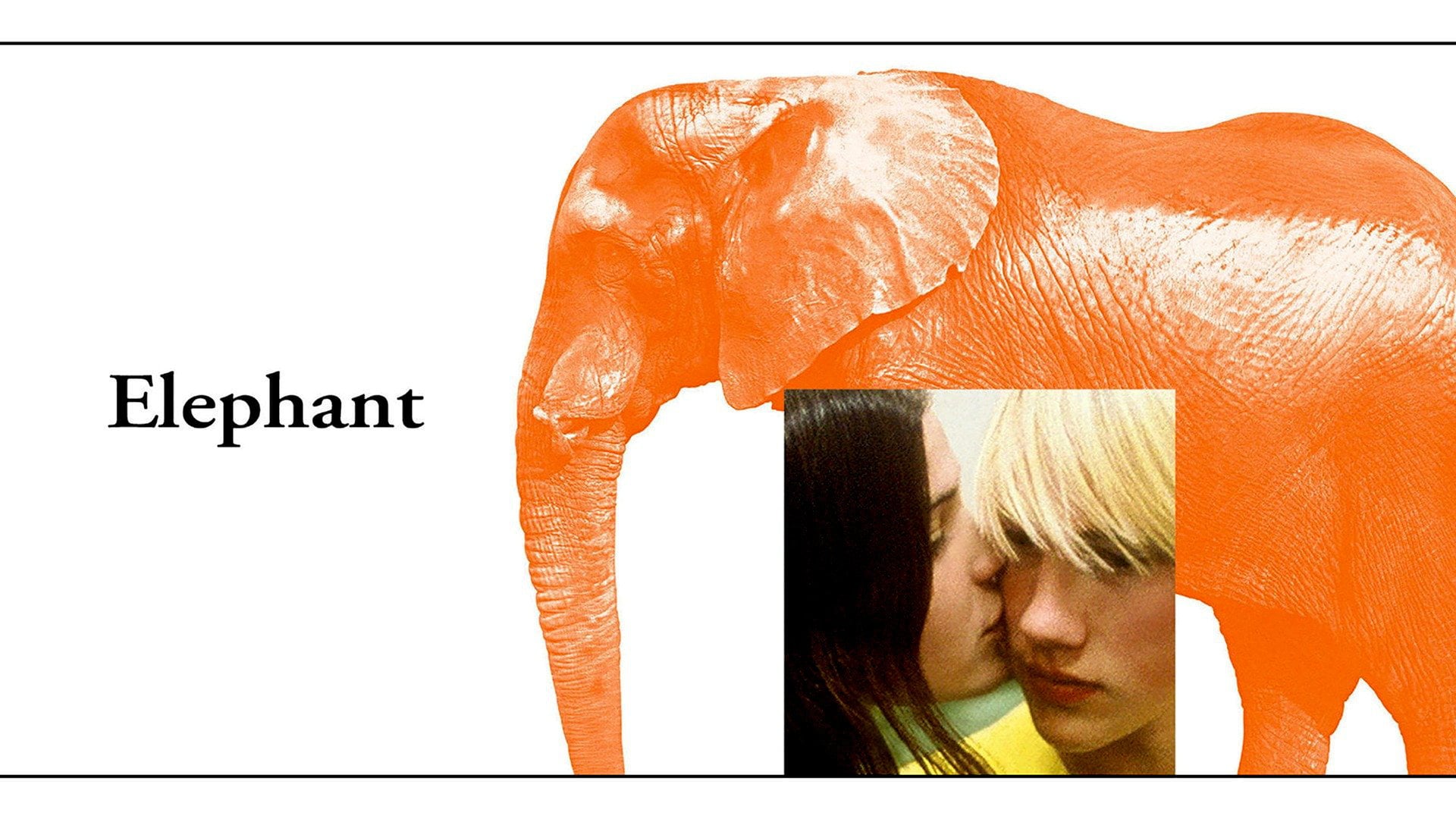 Foto do filme Elefante