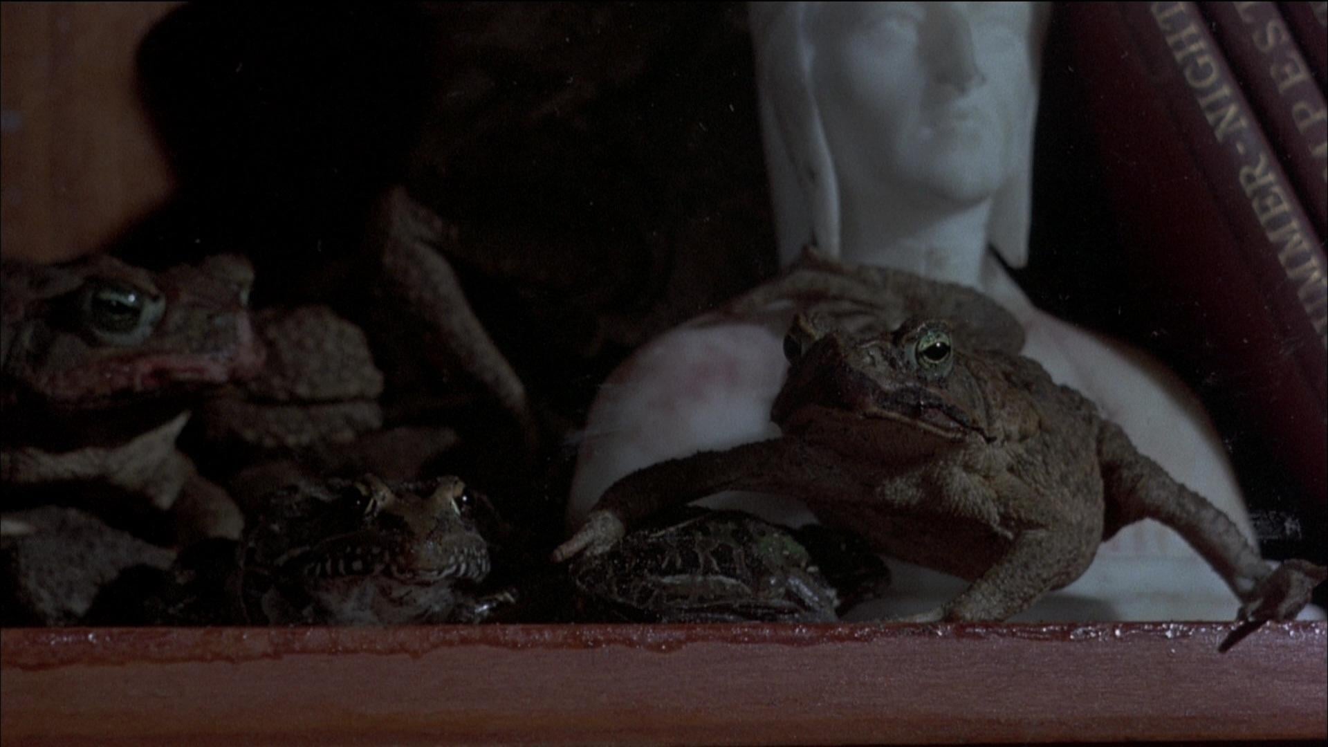 Foto do filme A Invasão das Rãs