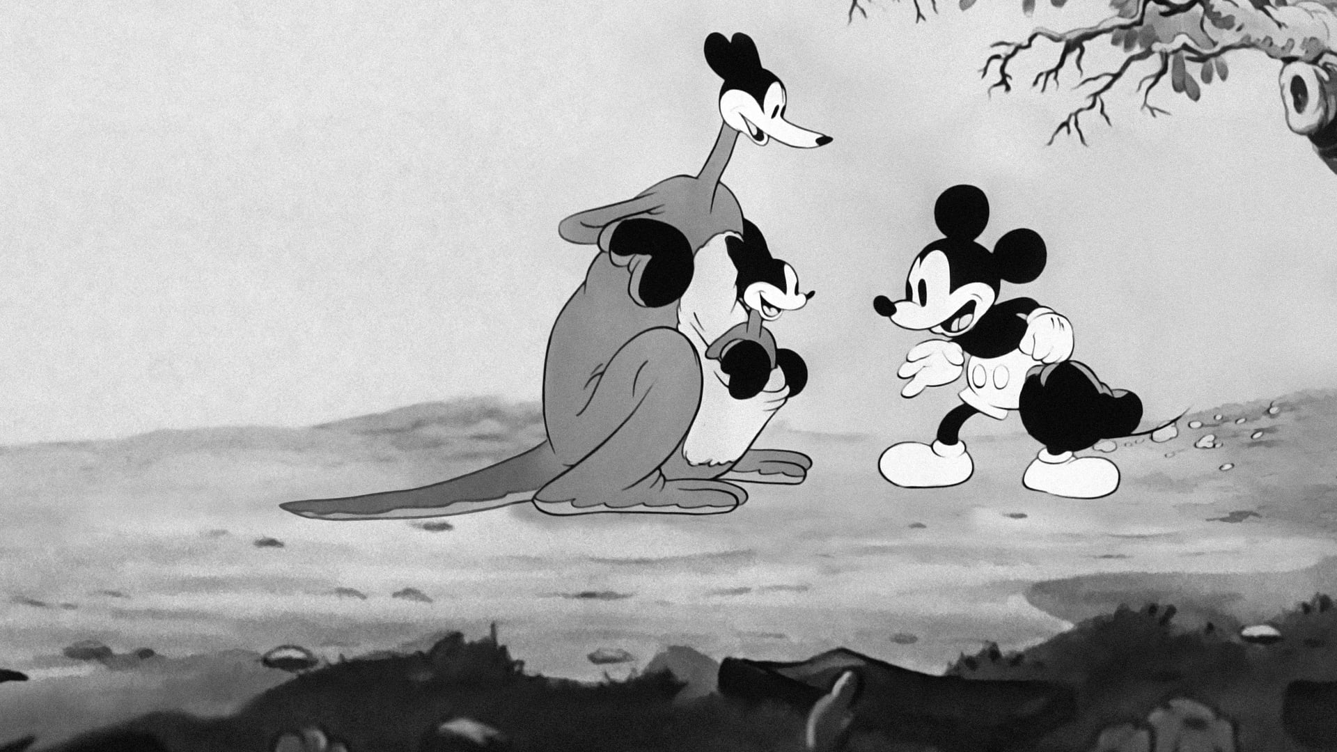 Foto do filme O Canguru do Mickey