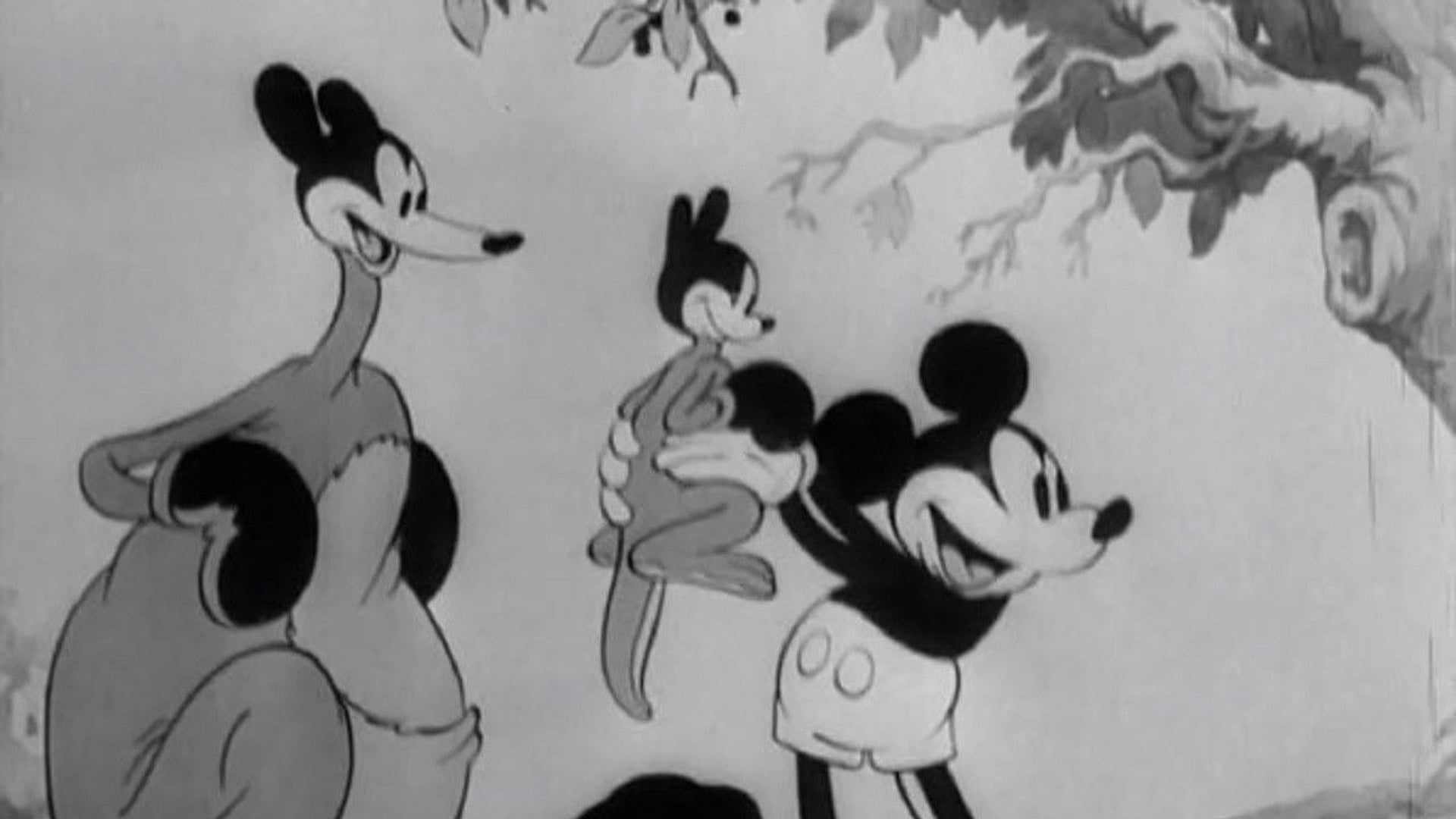 Foto do filme O Canguru do Mickey