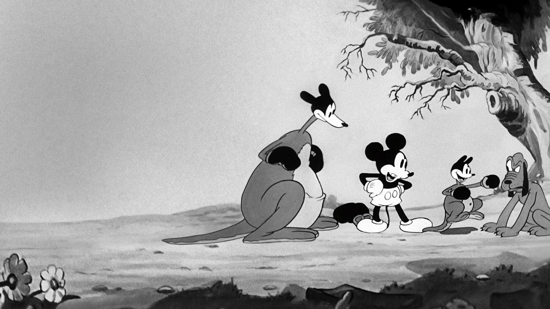 Foto do filme O Canguru do Mickey