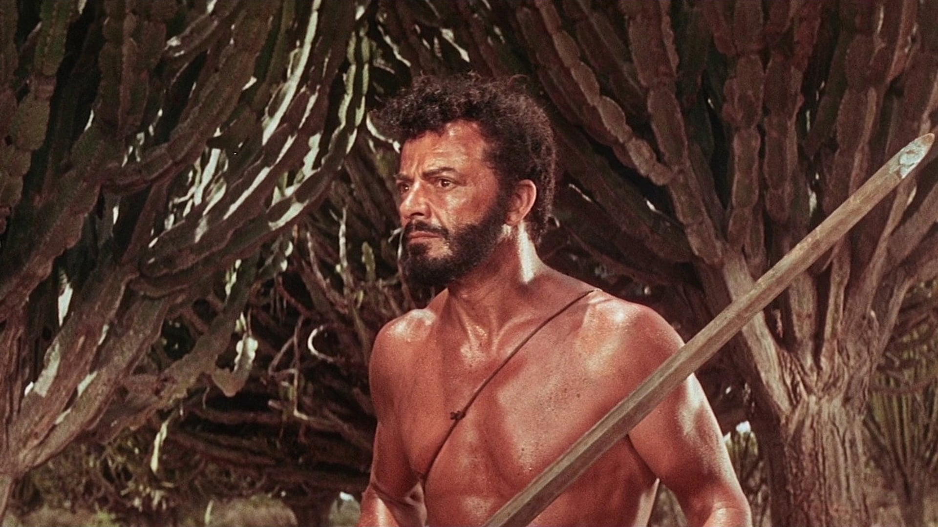 Foto do filme A Prova do Leão