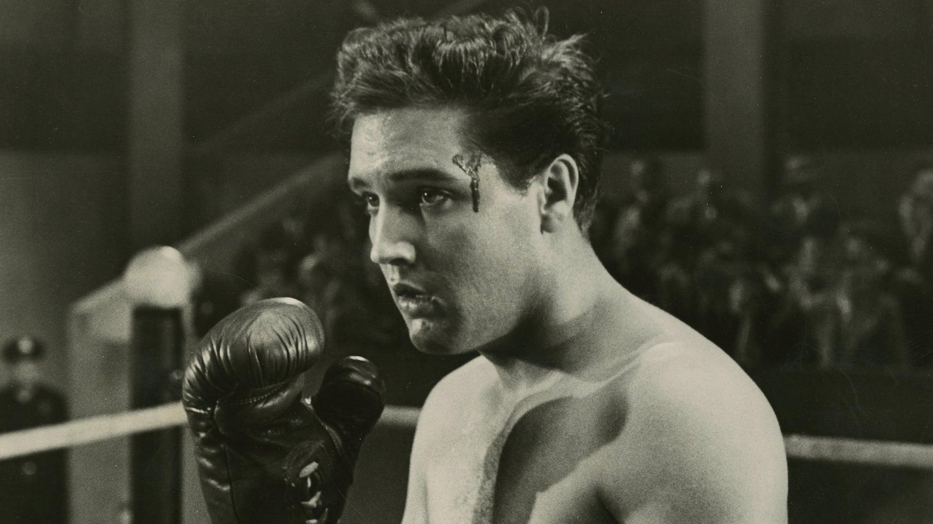 Foto do filme Talhado para Campeão