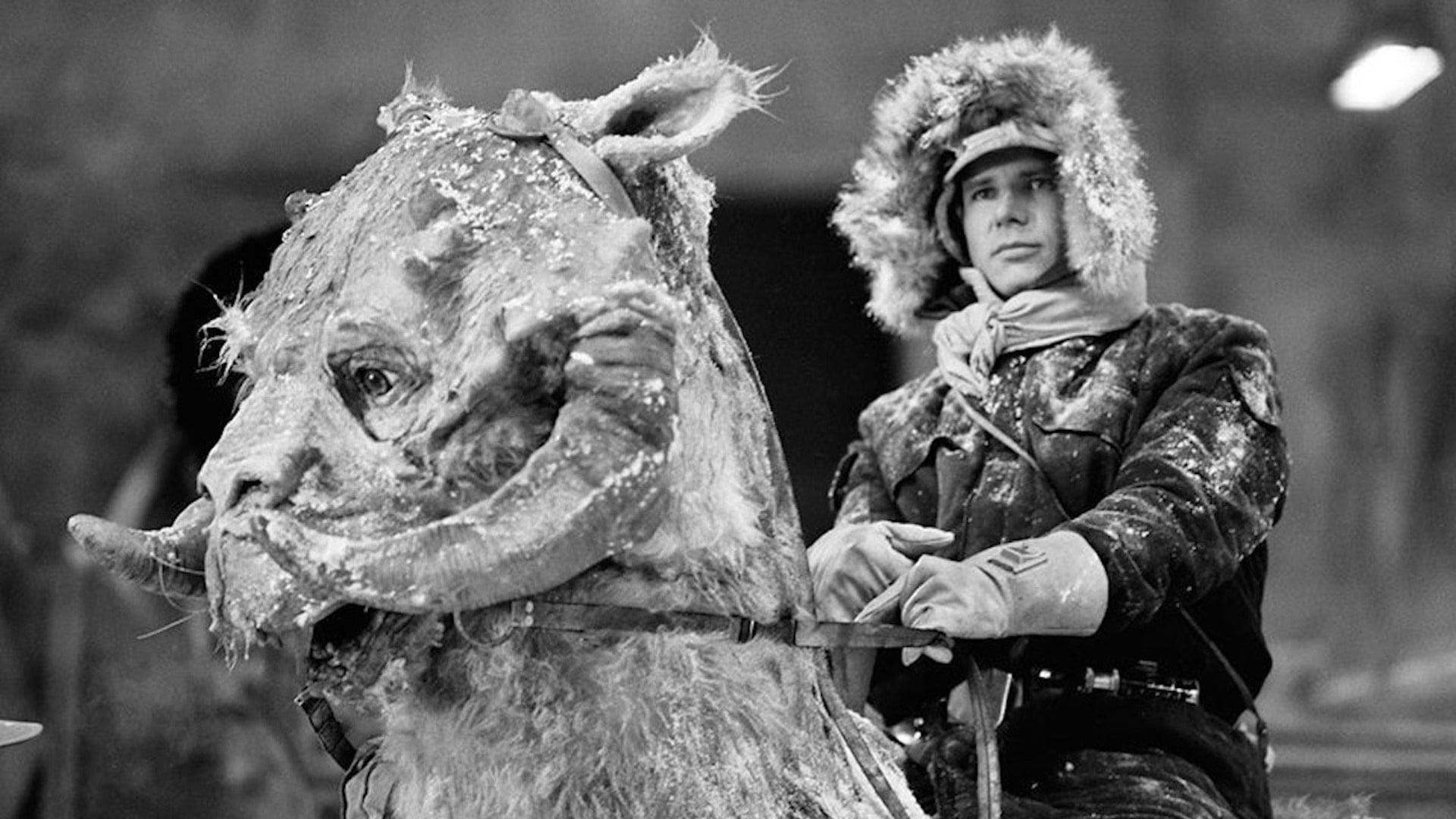 Foto do filme Guerra nas Estrelas: O Império Contra-Ataca