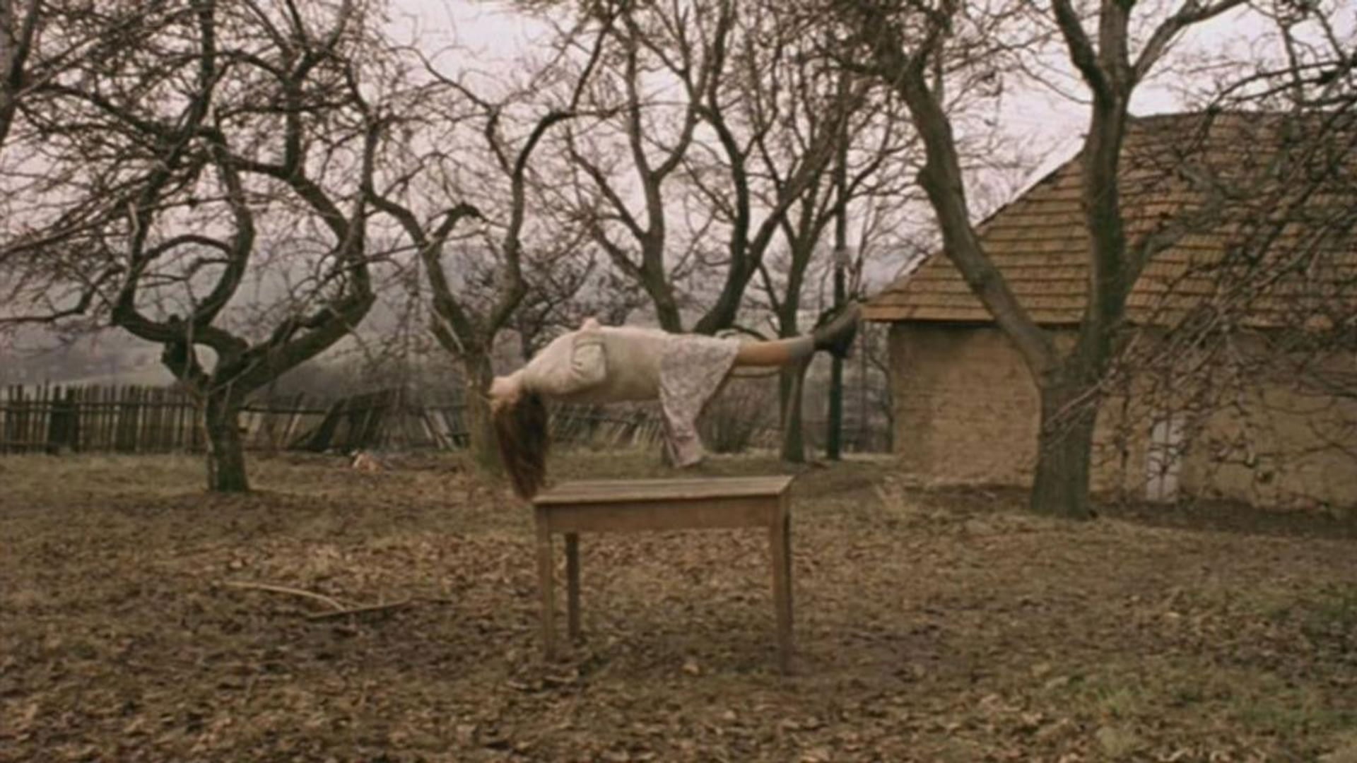 Foto do filme Záhrada