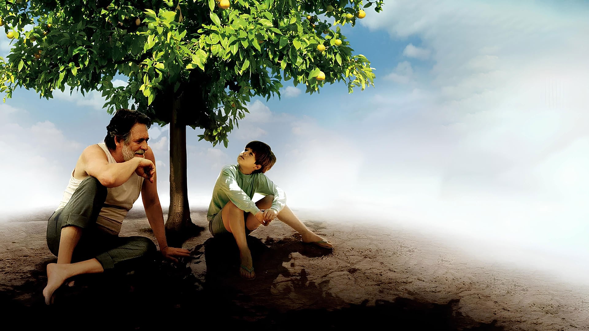 Foto do filme Meu Pé de Laranja Lima