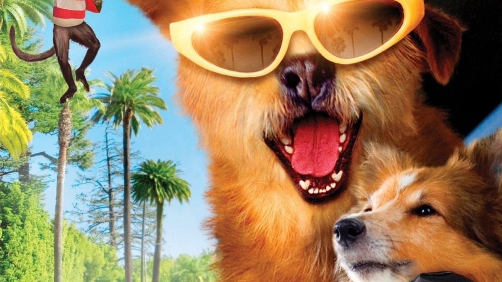 Foto do filme Dr. Dolittle 5
