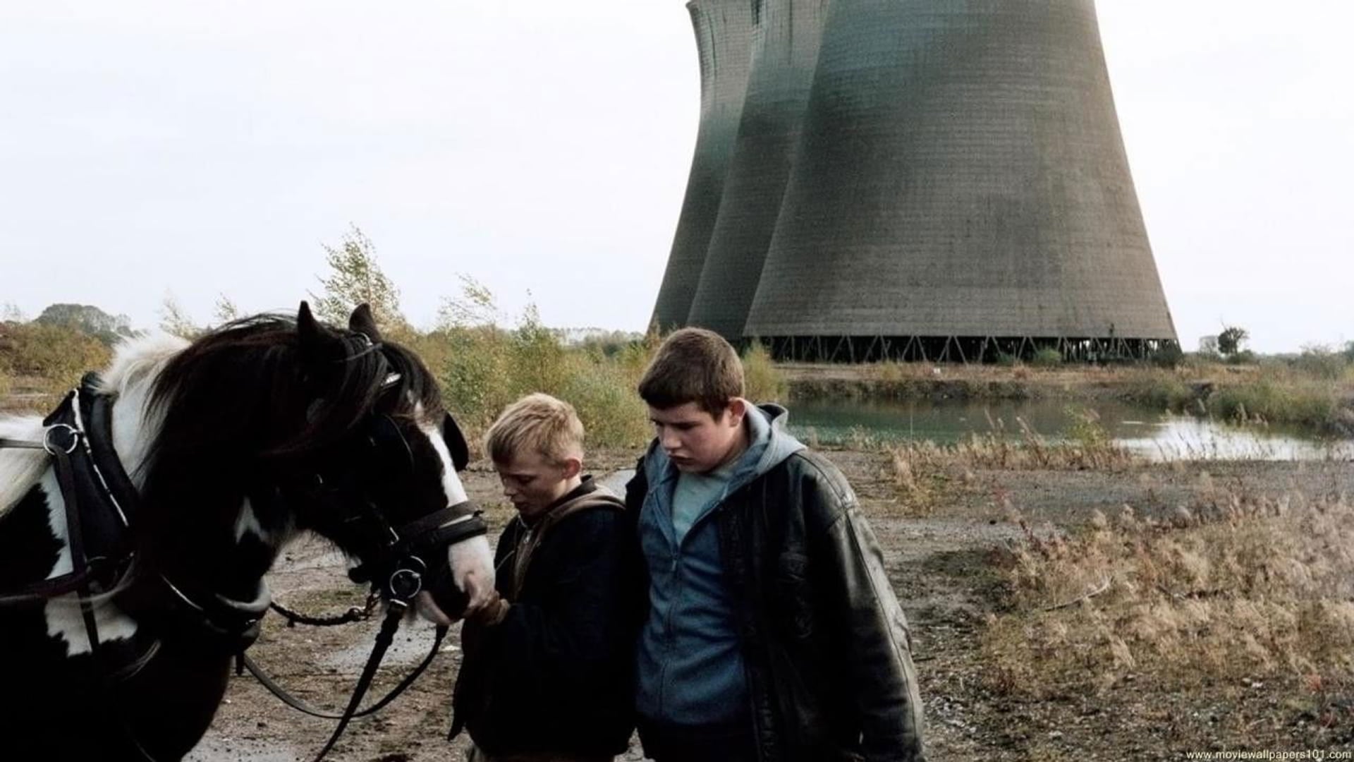 Foto do filme The Selfish Giant