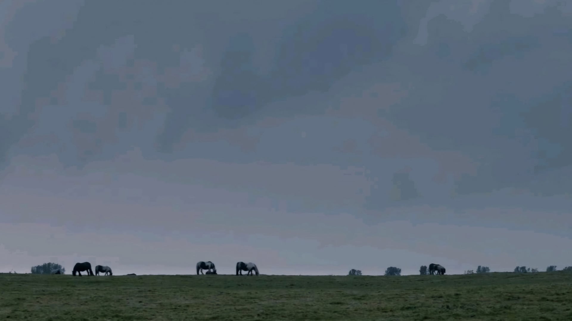 Foto do filme The Selfish Giant