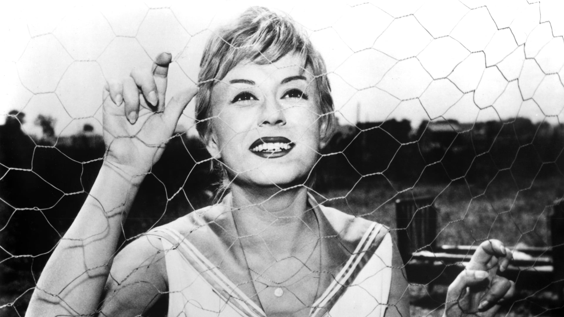 Foto do filme Noites de Cabíria
