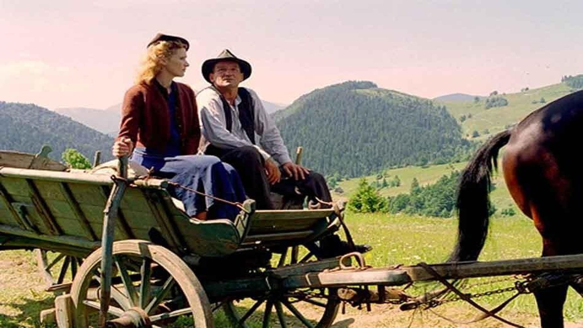 Foto do filme Želary