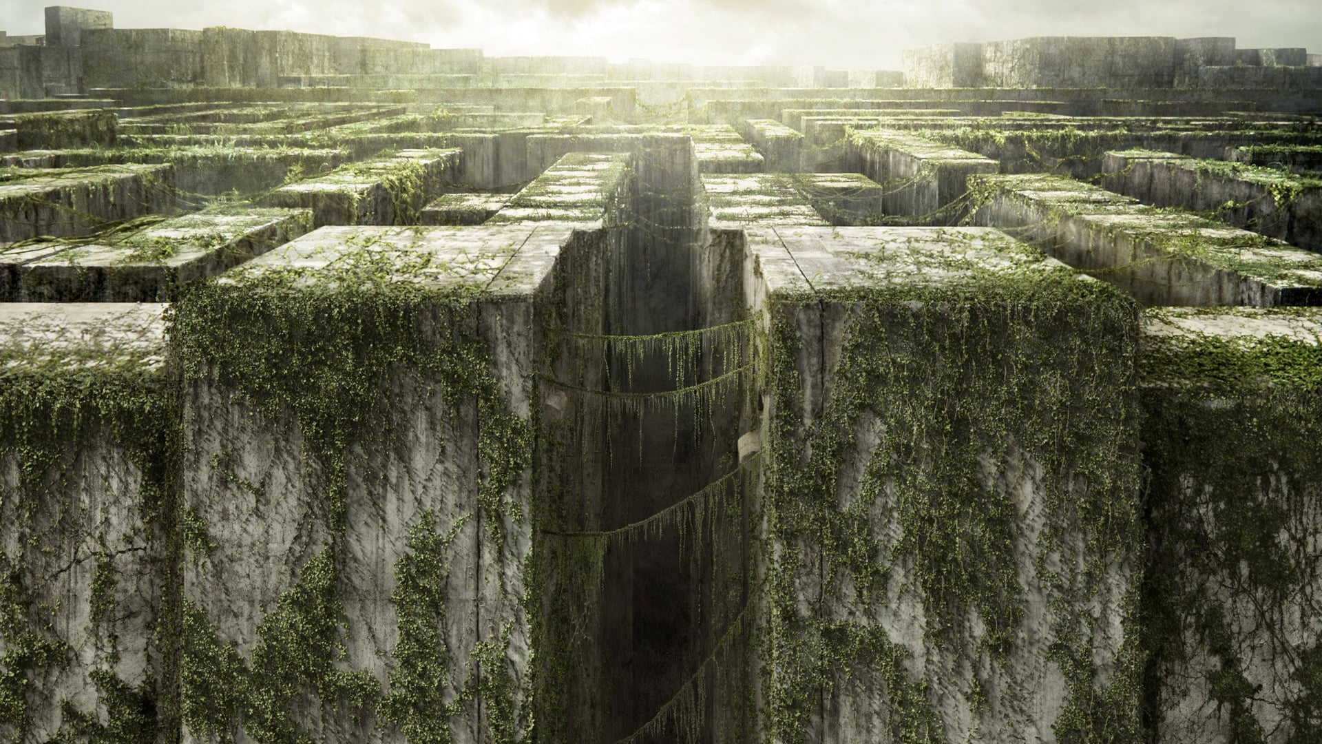 Foto do filme Maze Runner: Correr ou Morrer