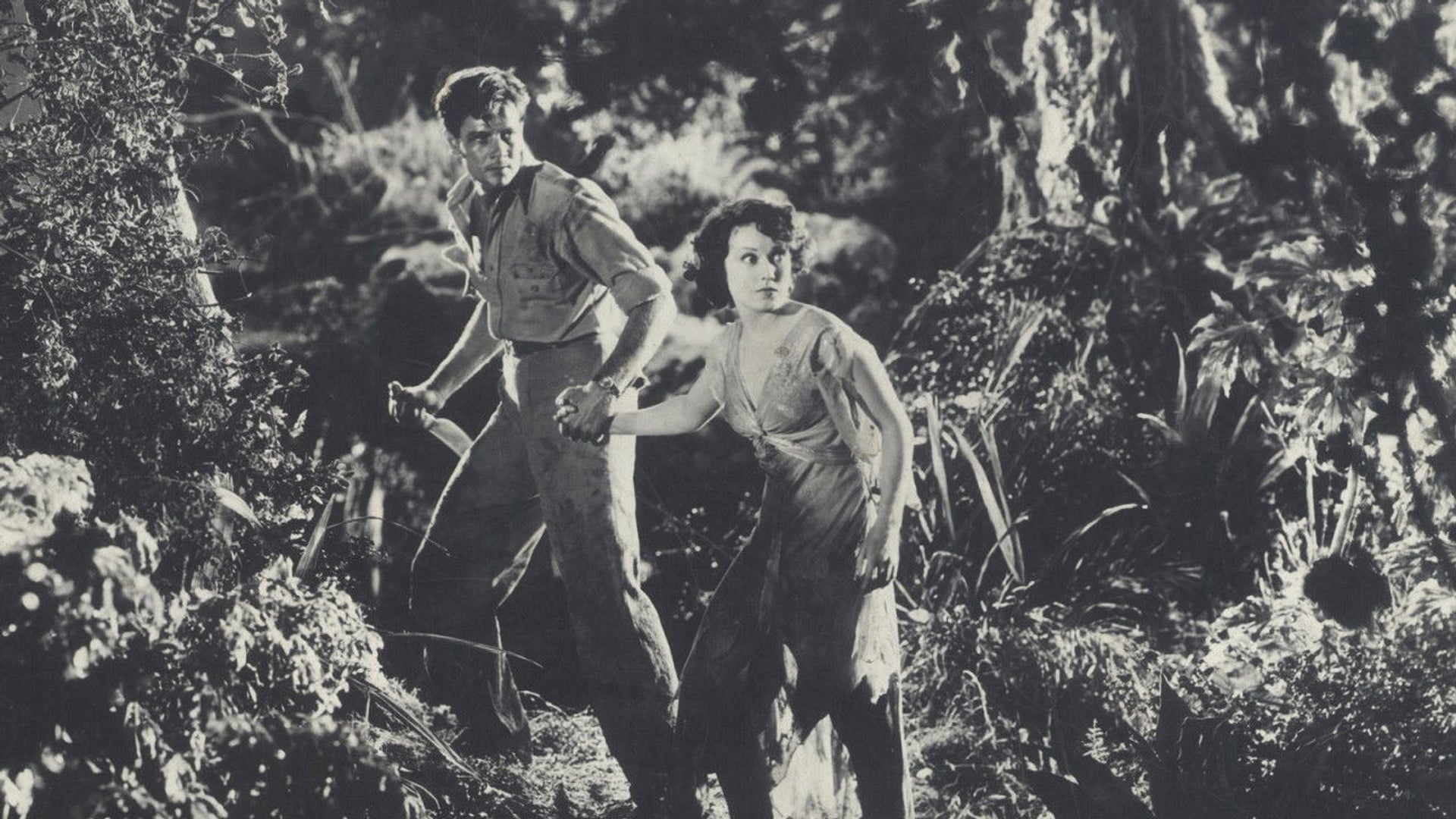 Foto do filme Zaroff,  O Caçador de Vidas