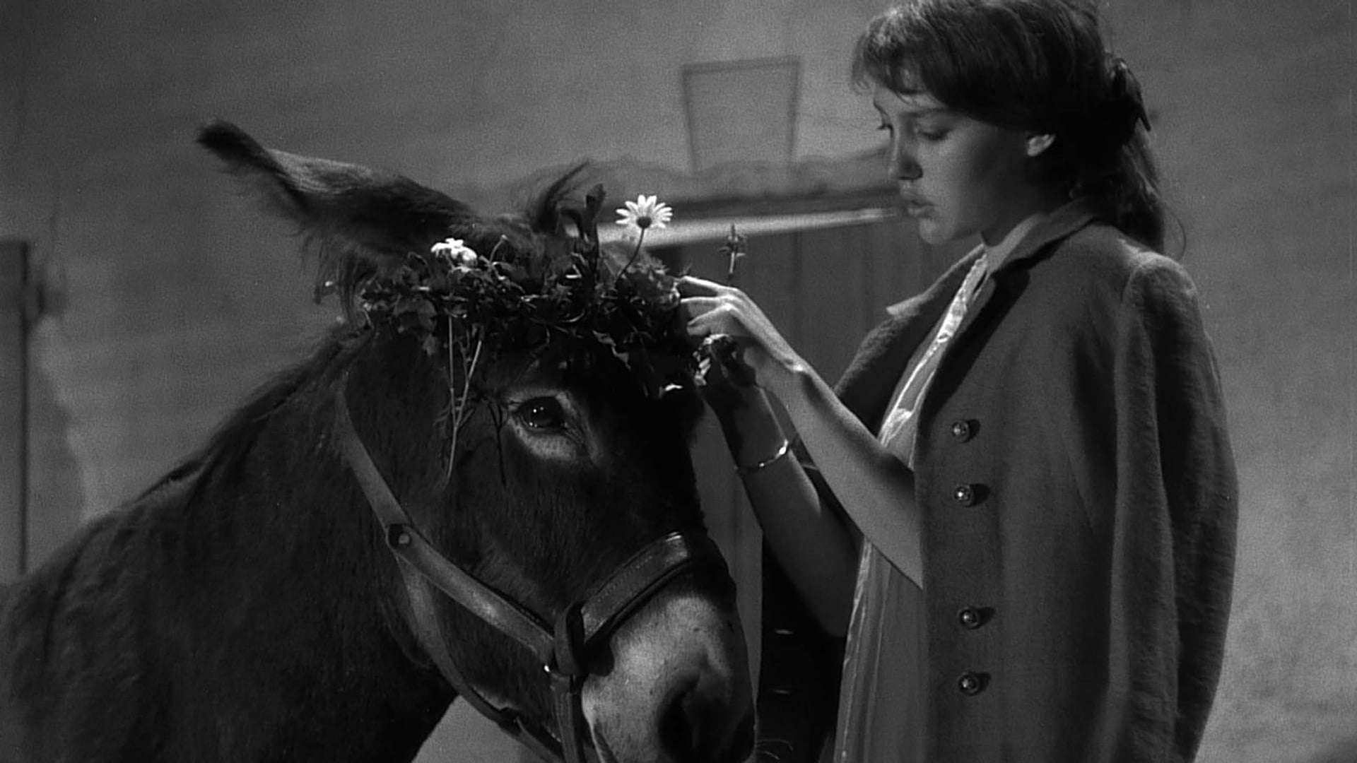 Foto do filme A Grande Testemunha