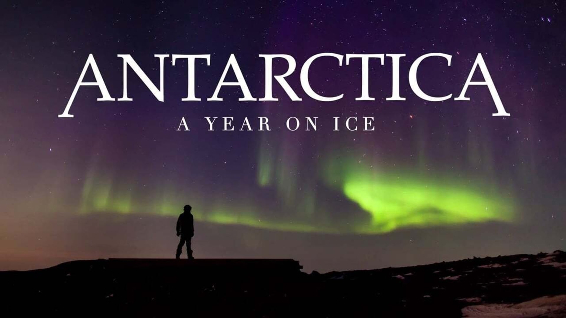 Foto do filme Antarctica: A Year on Ice