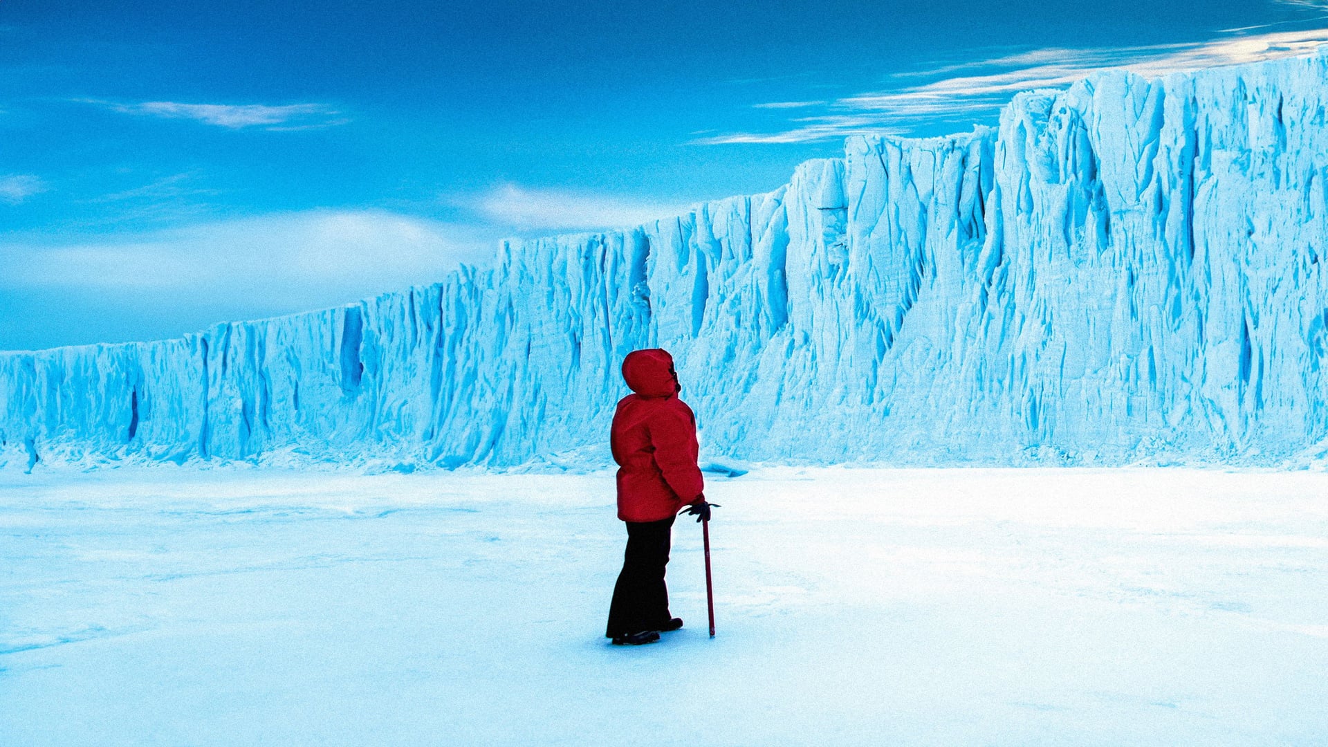 Foto do filme Antarctica: A Year on Ice